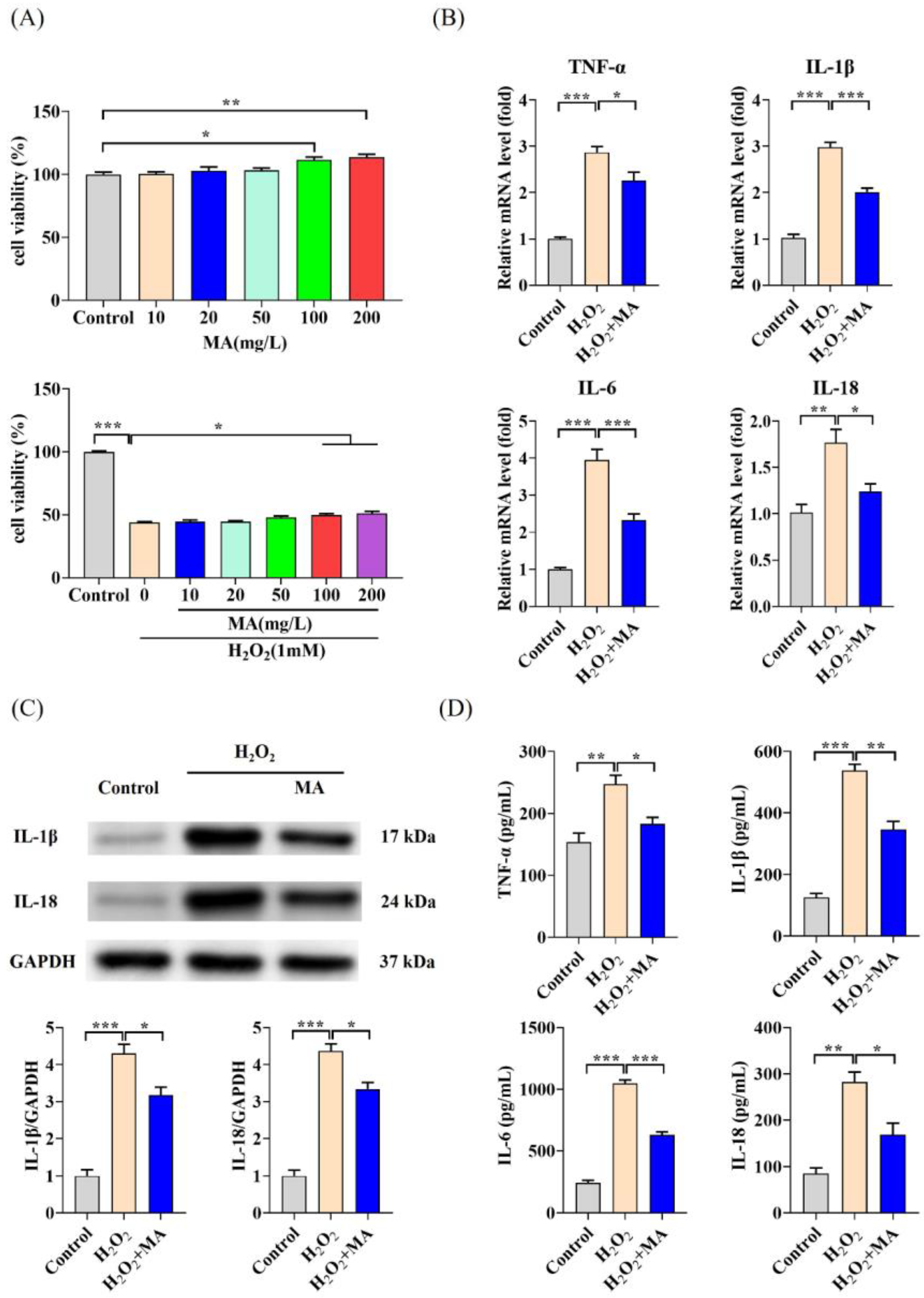 Antioxidants 13 00533 g001