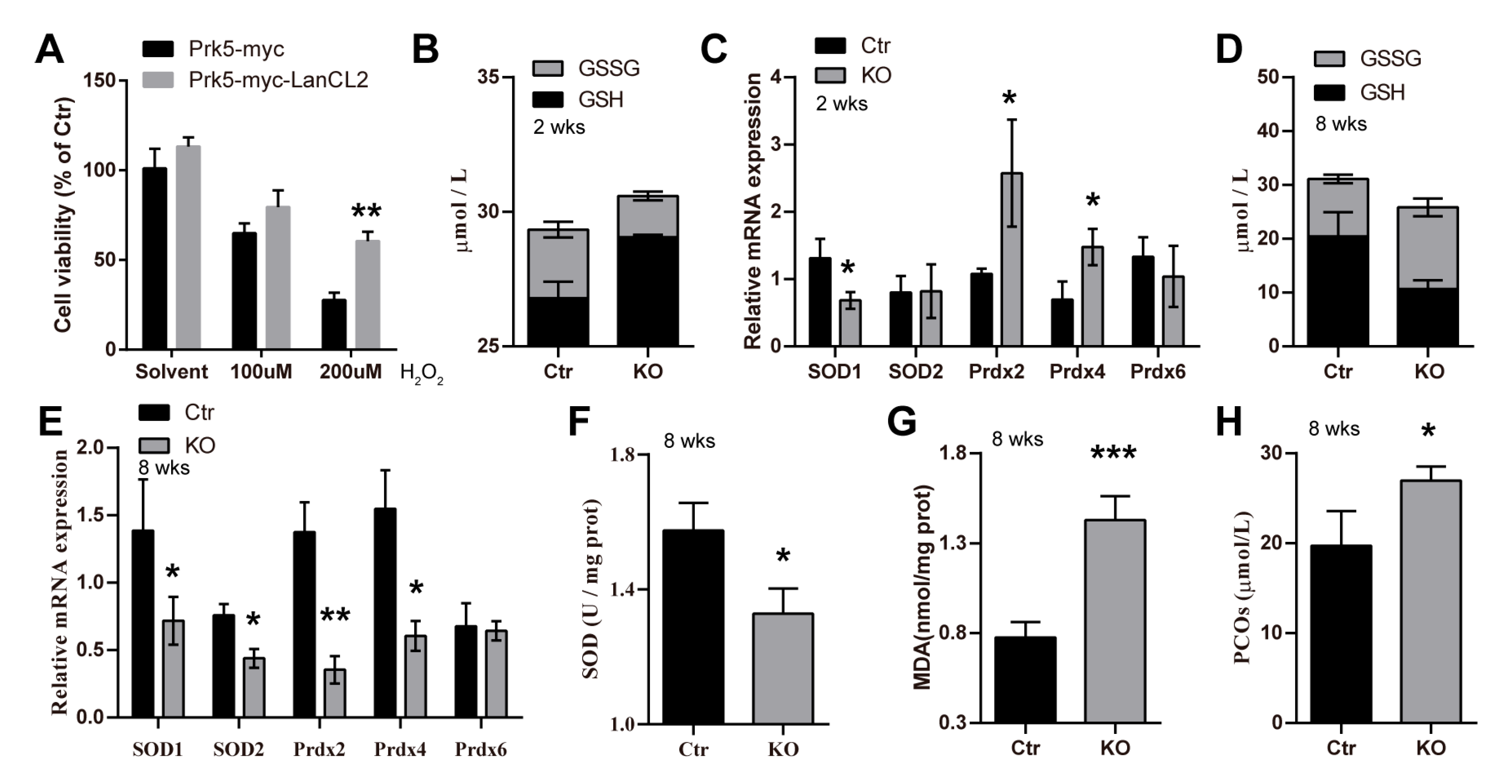 Antioxidants 13 00534 g007