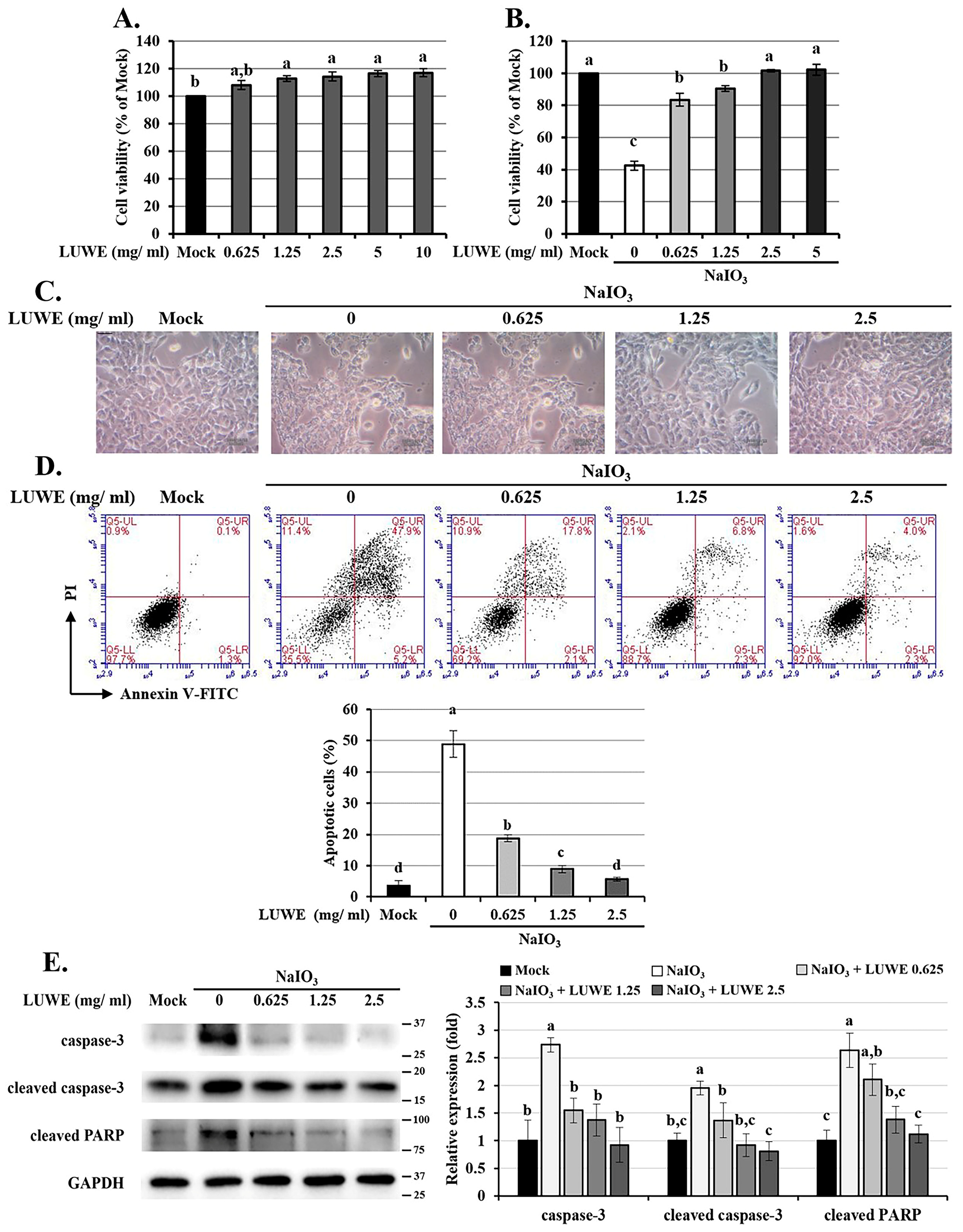 Antioxidants 13 00538 g003