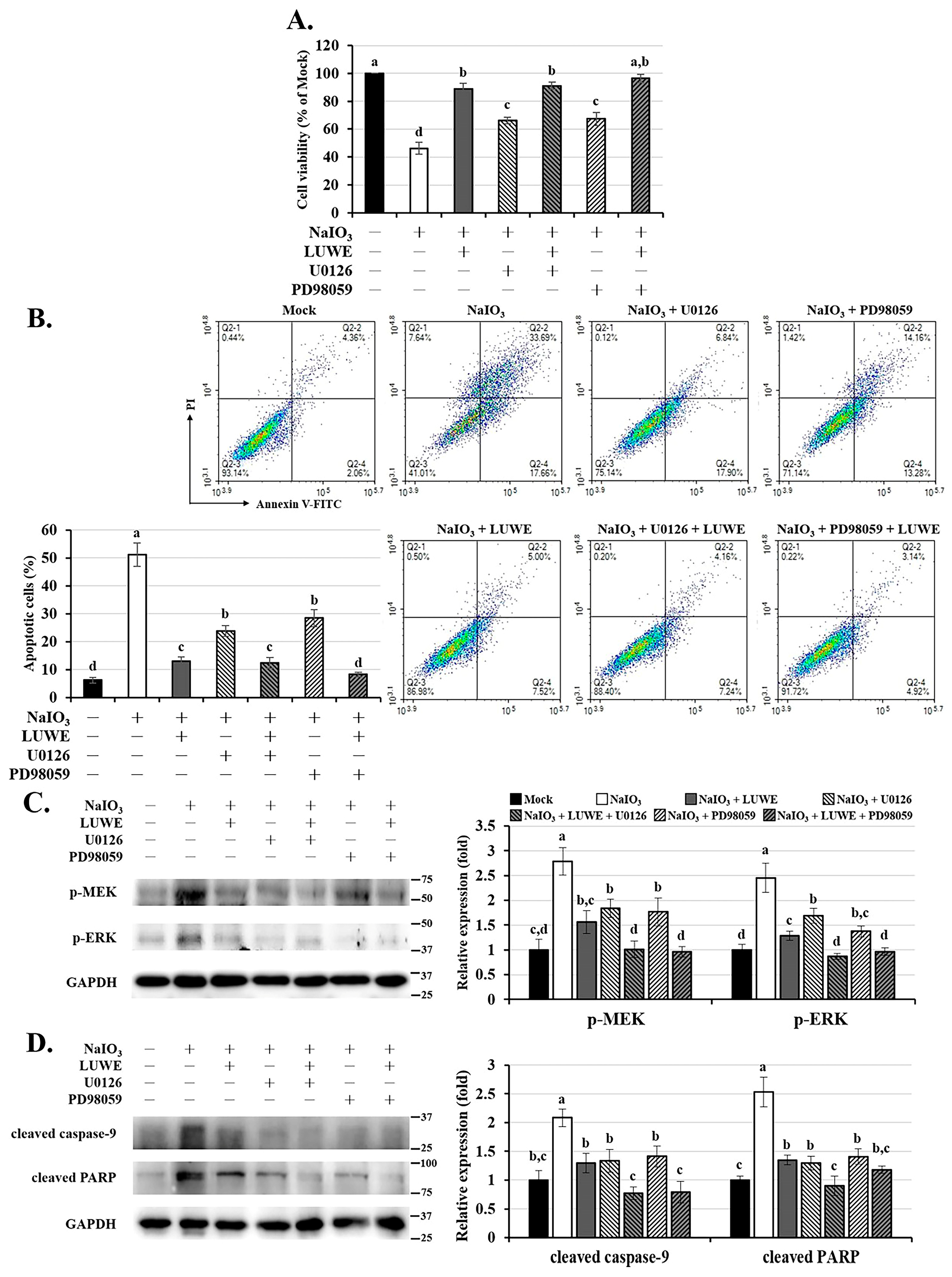 Antioxidants 13 00538 g005