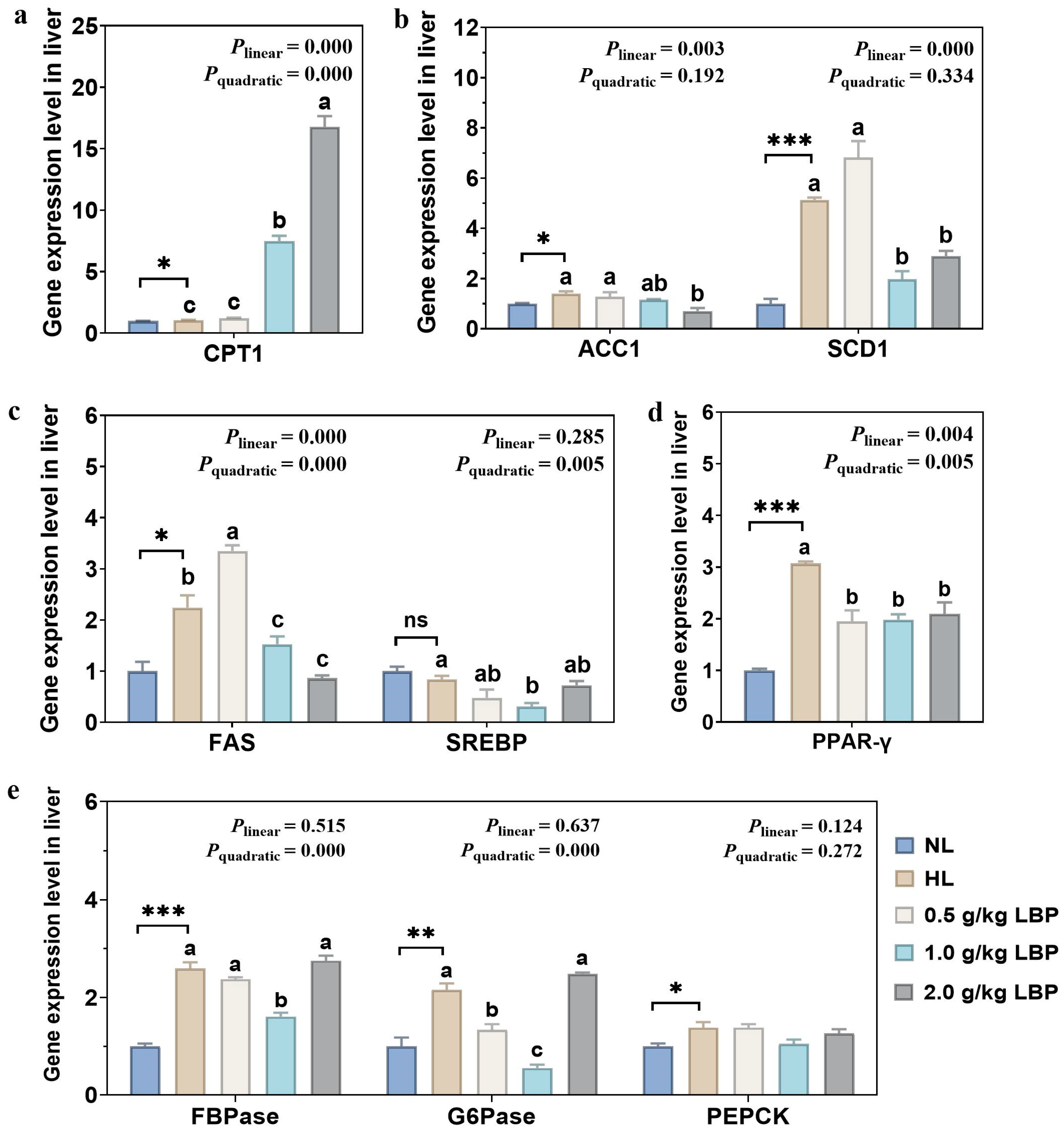 Antioxidants 13 00540 g005