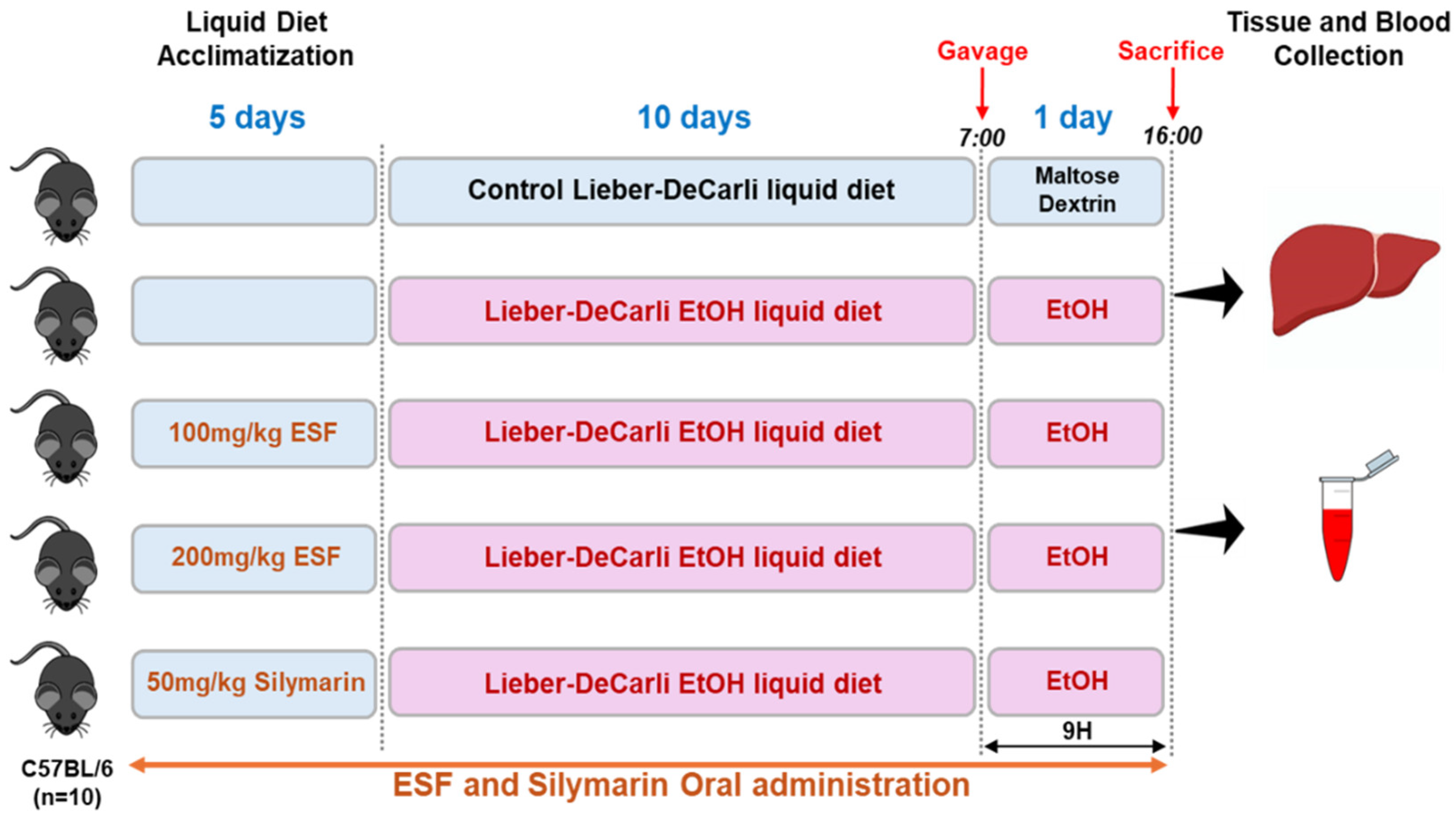 Antioxidants 13 00541 g001