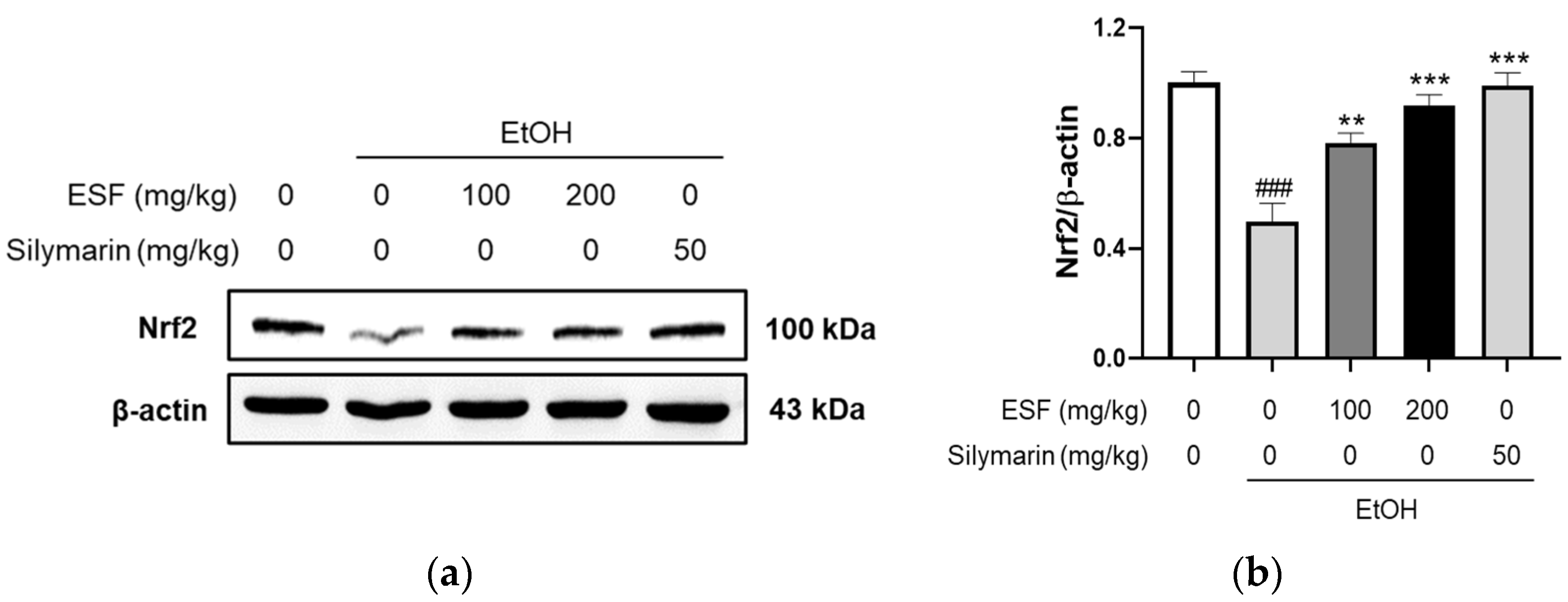 Antioxidants 13 00541 g007