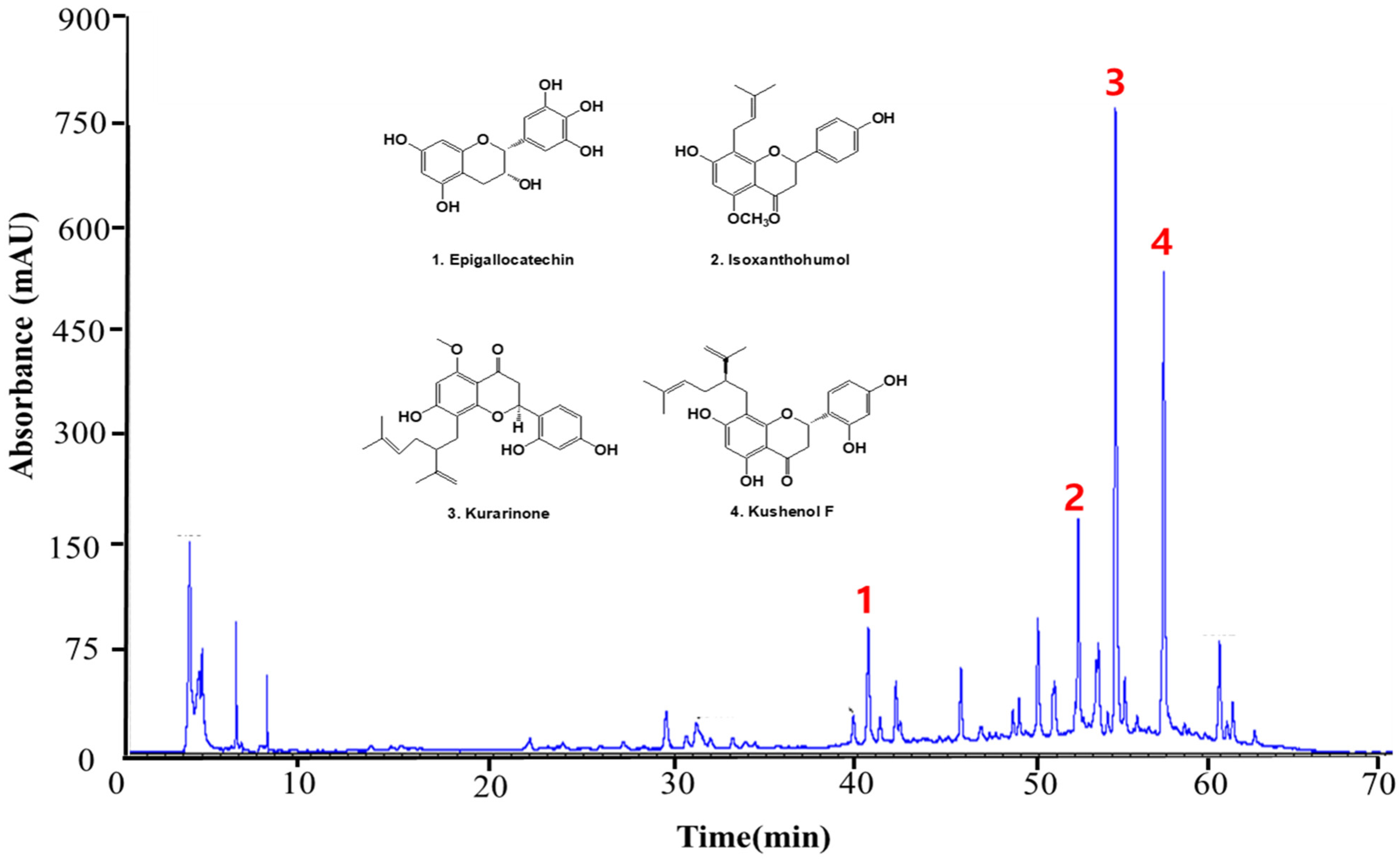 Antioxidants 13 00541 g008