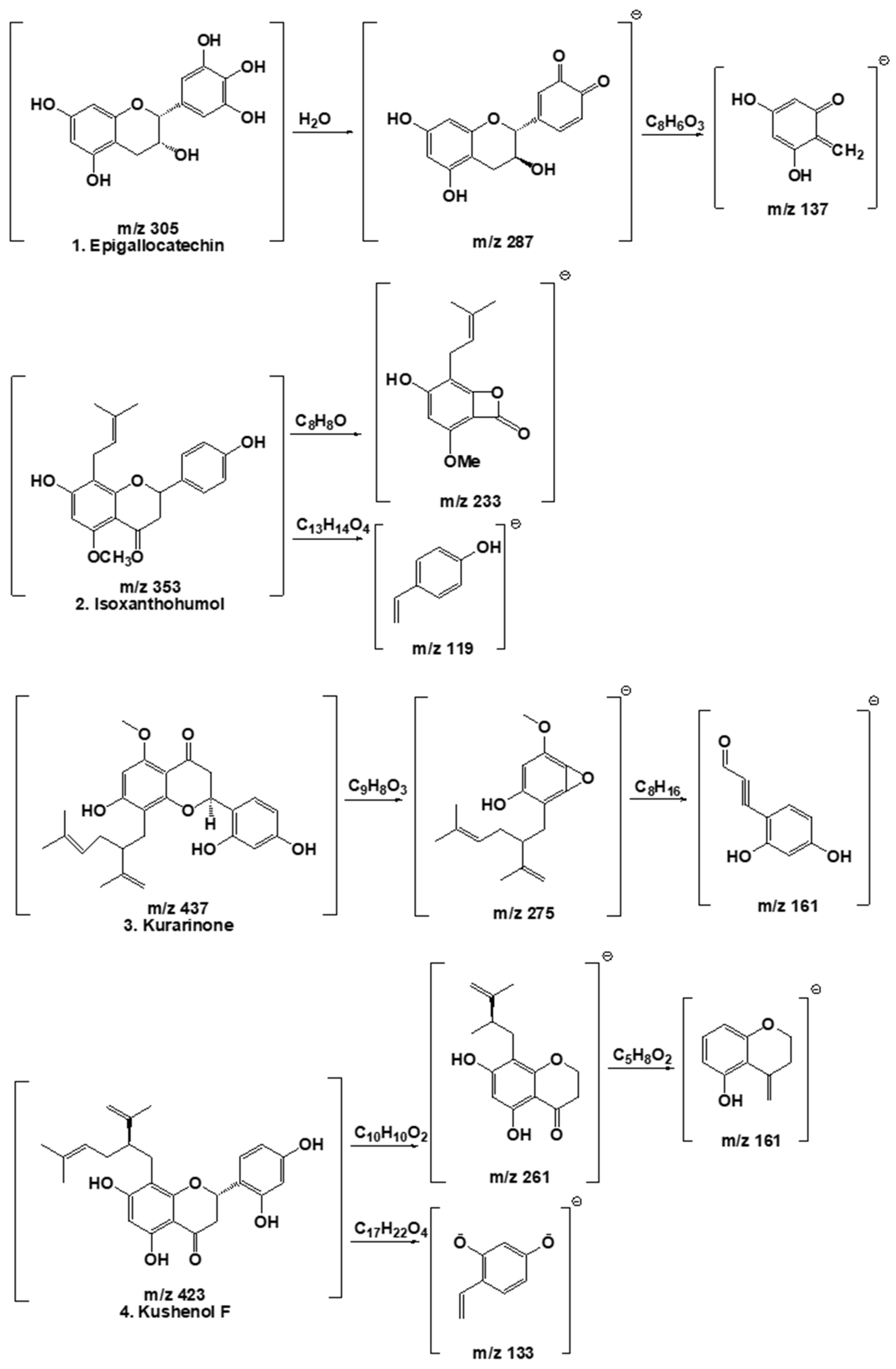 Antioxidants 13 00541 g009
