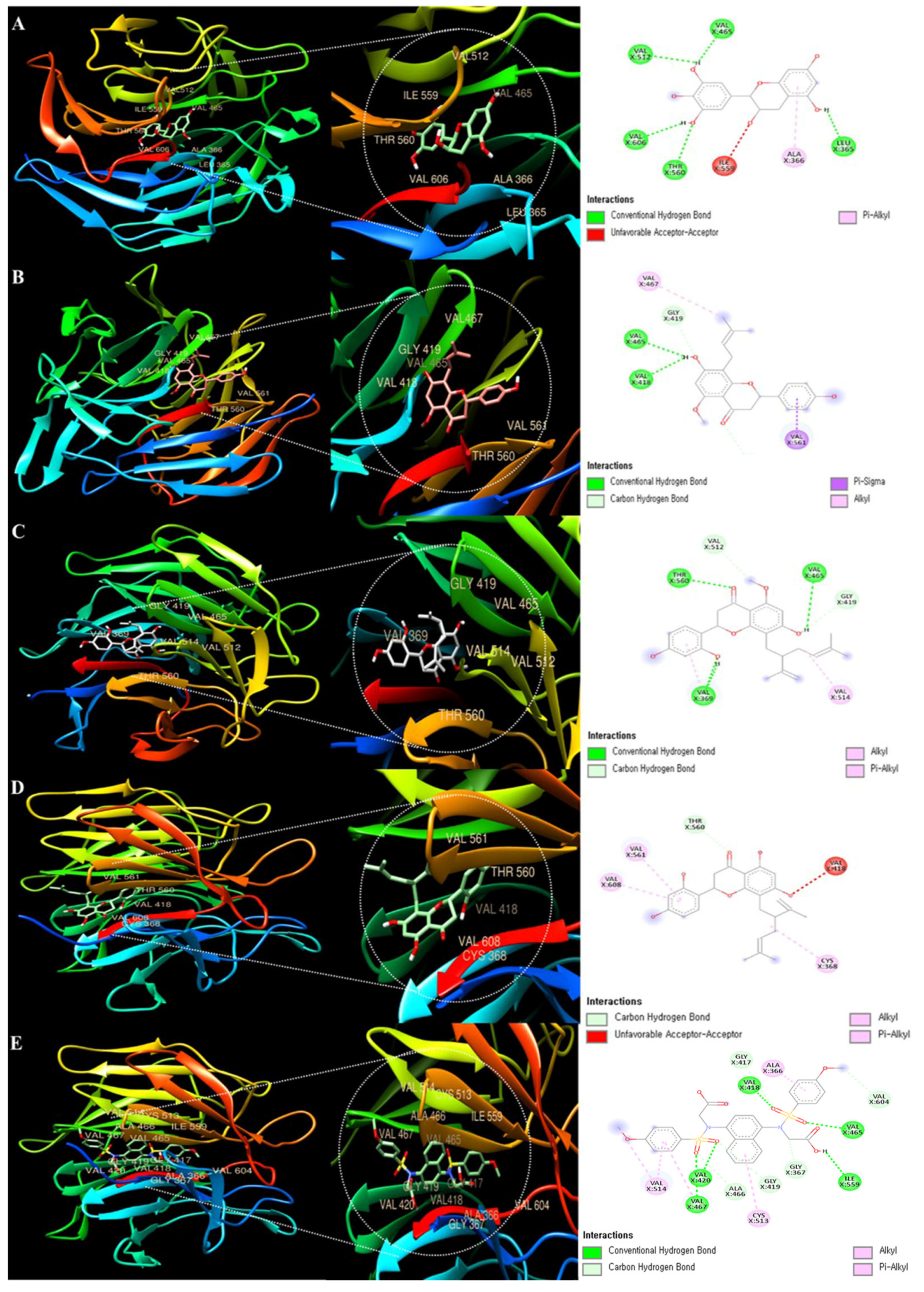 Antioxidants 13 00541 g010