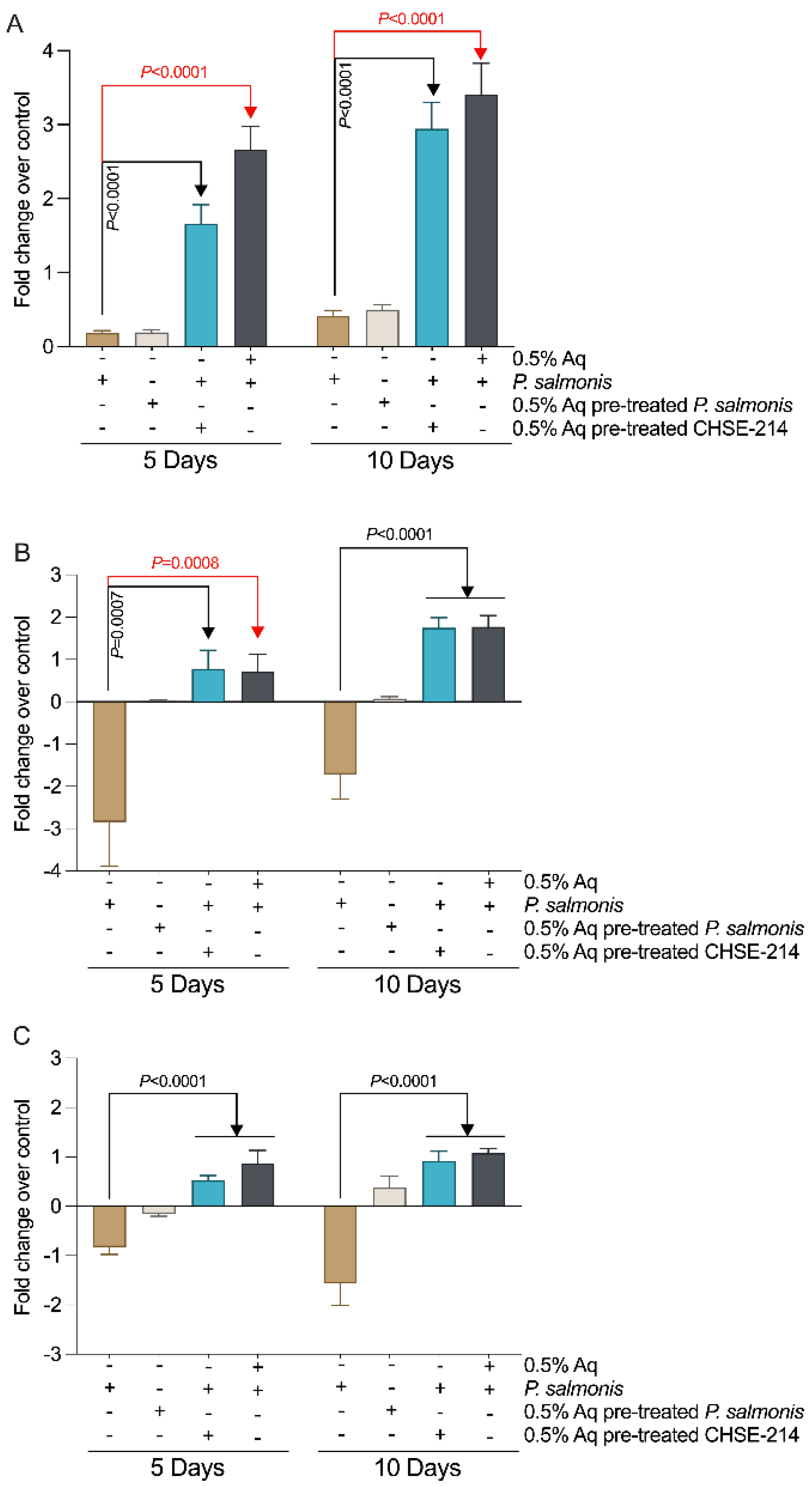 Antioxidants 13 00542 g003