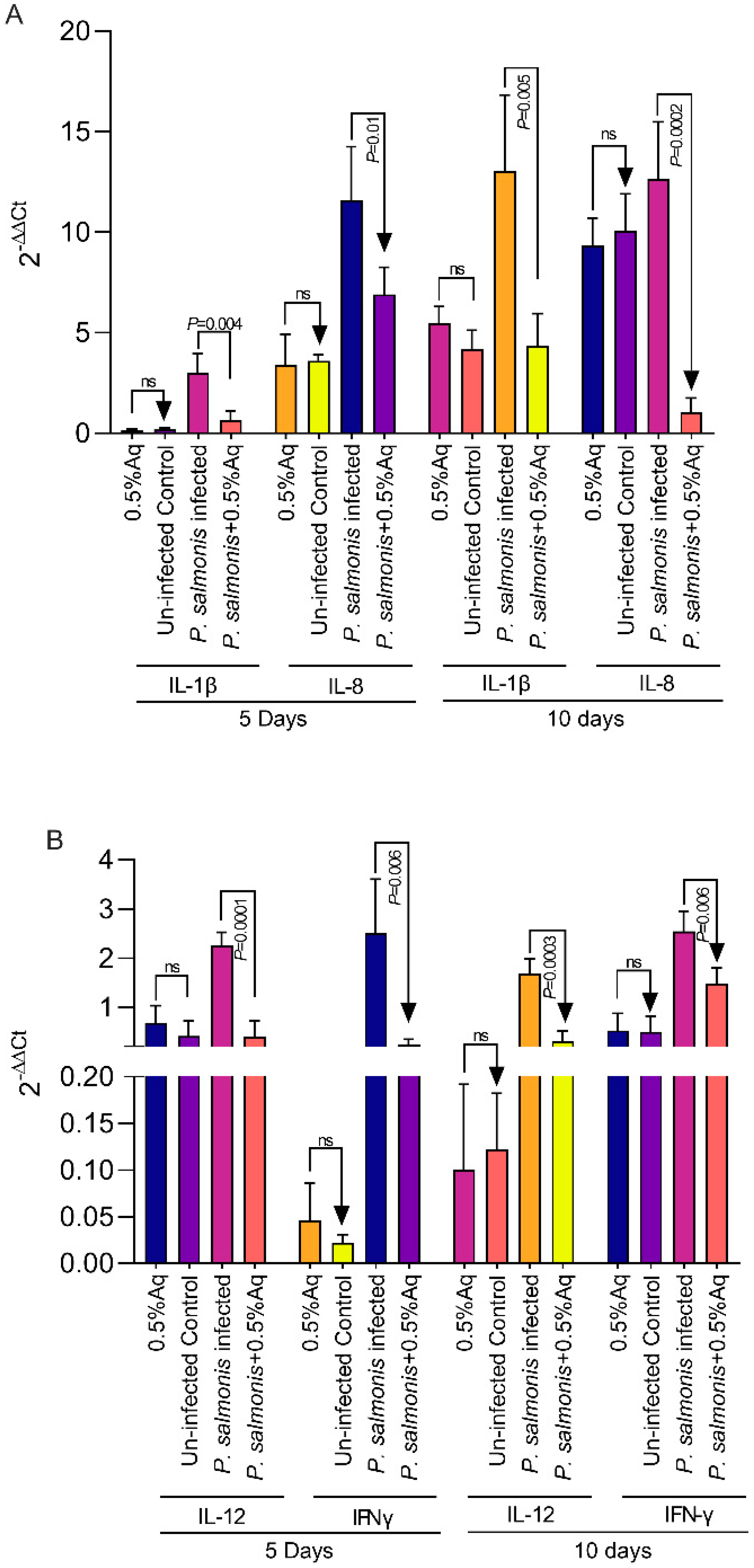 Antioxidants 13 00542 g005