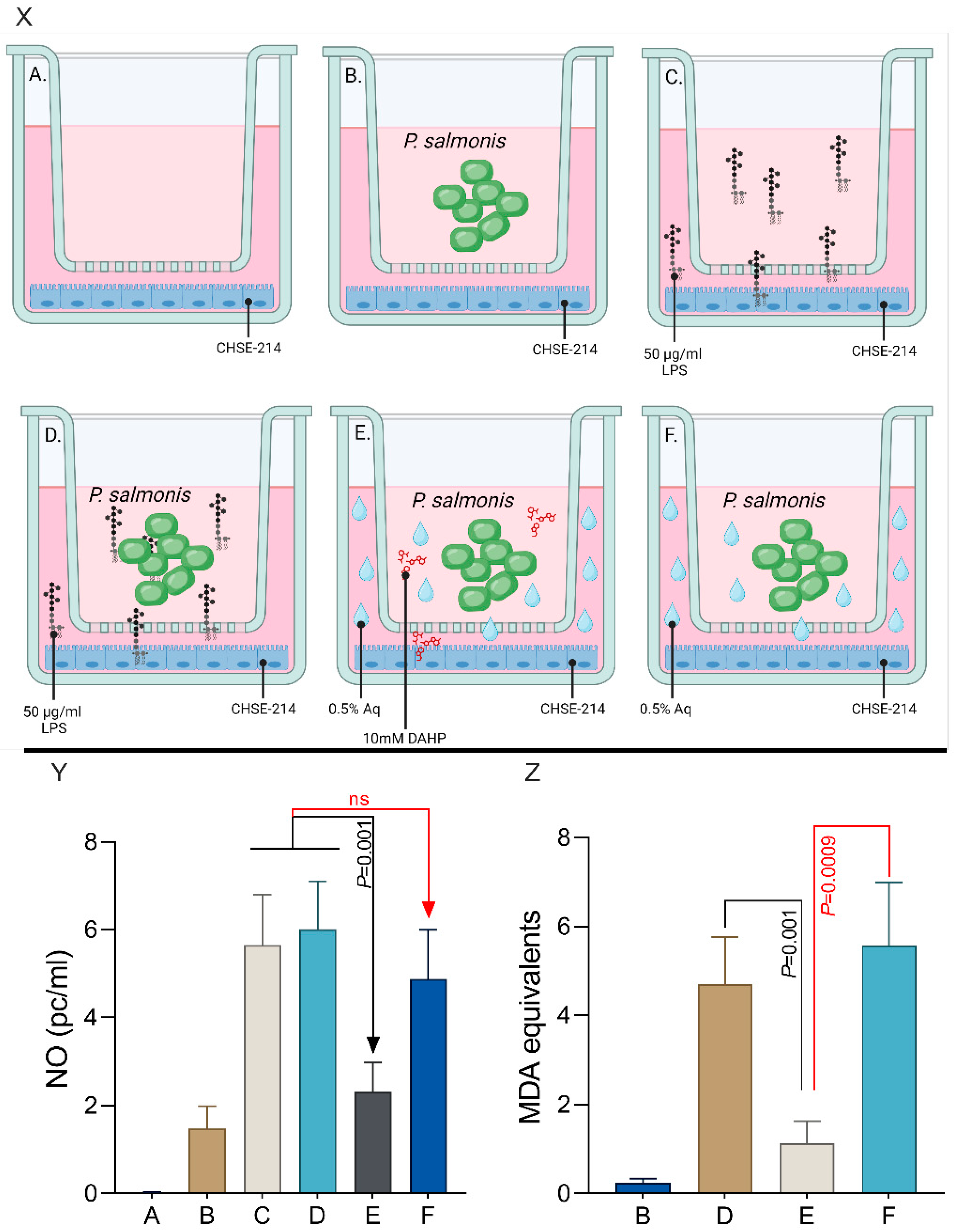 Antioxidants 13 00542 g006
