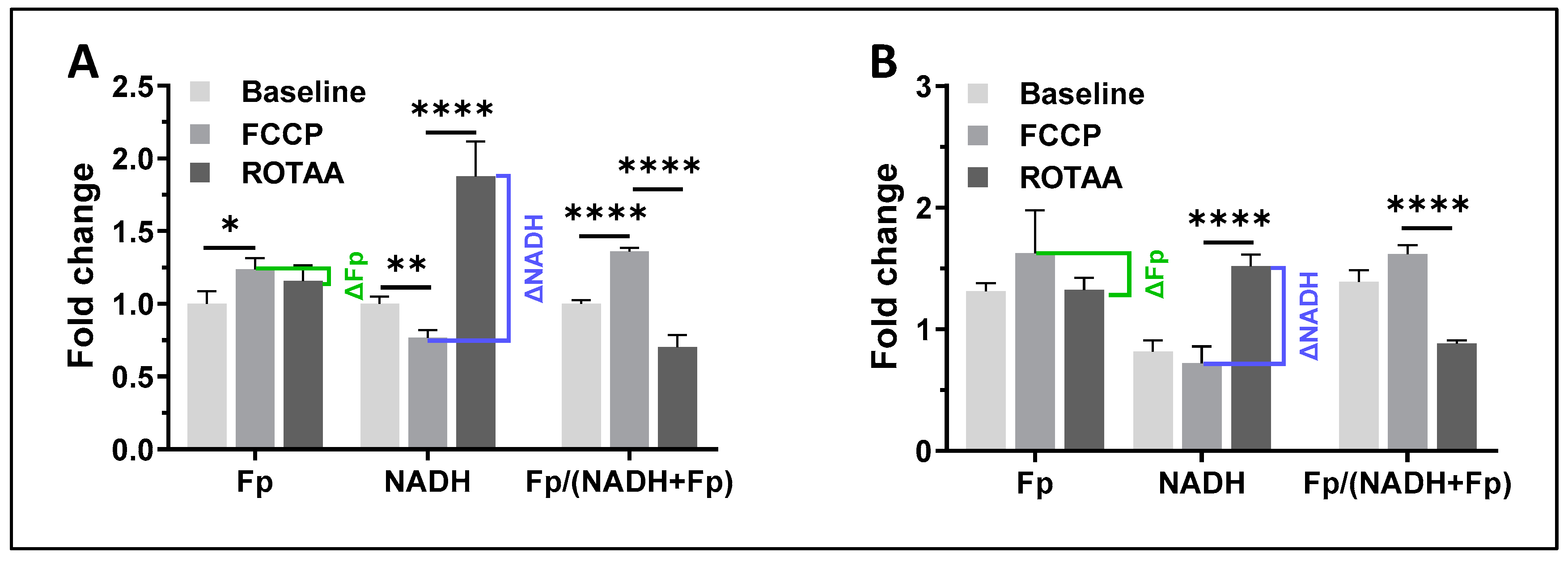 Antioxidants 13 00546 g004