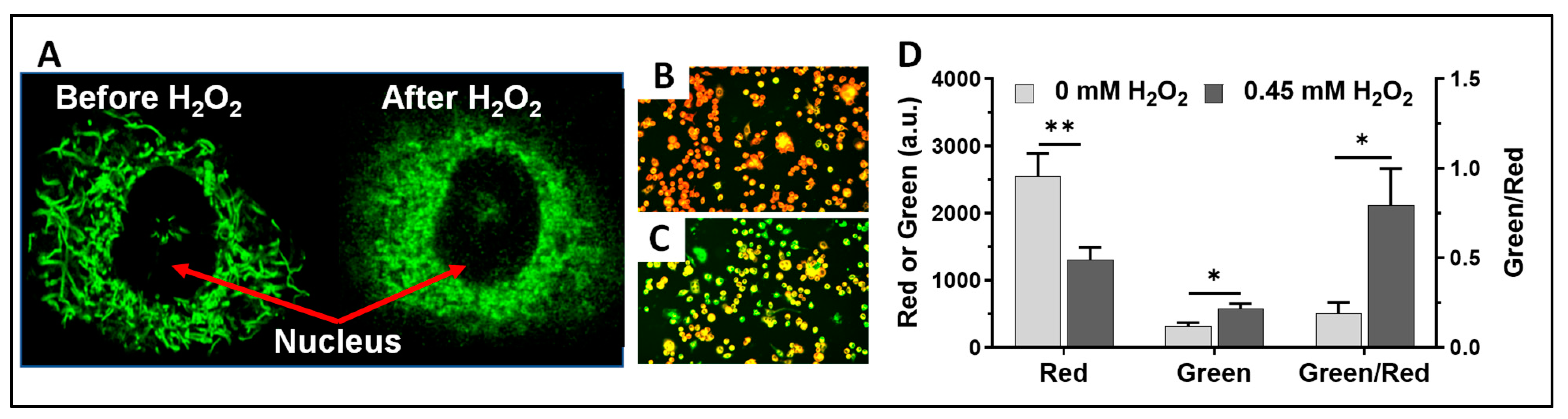 Antioxidants 13 00546 g005