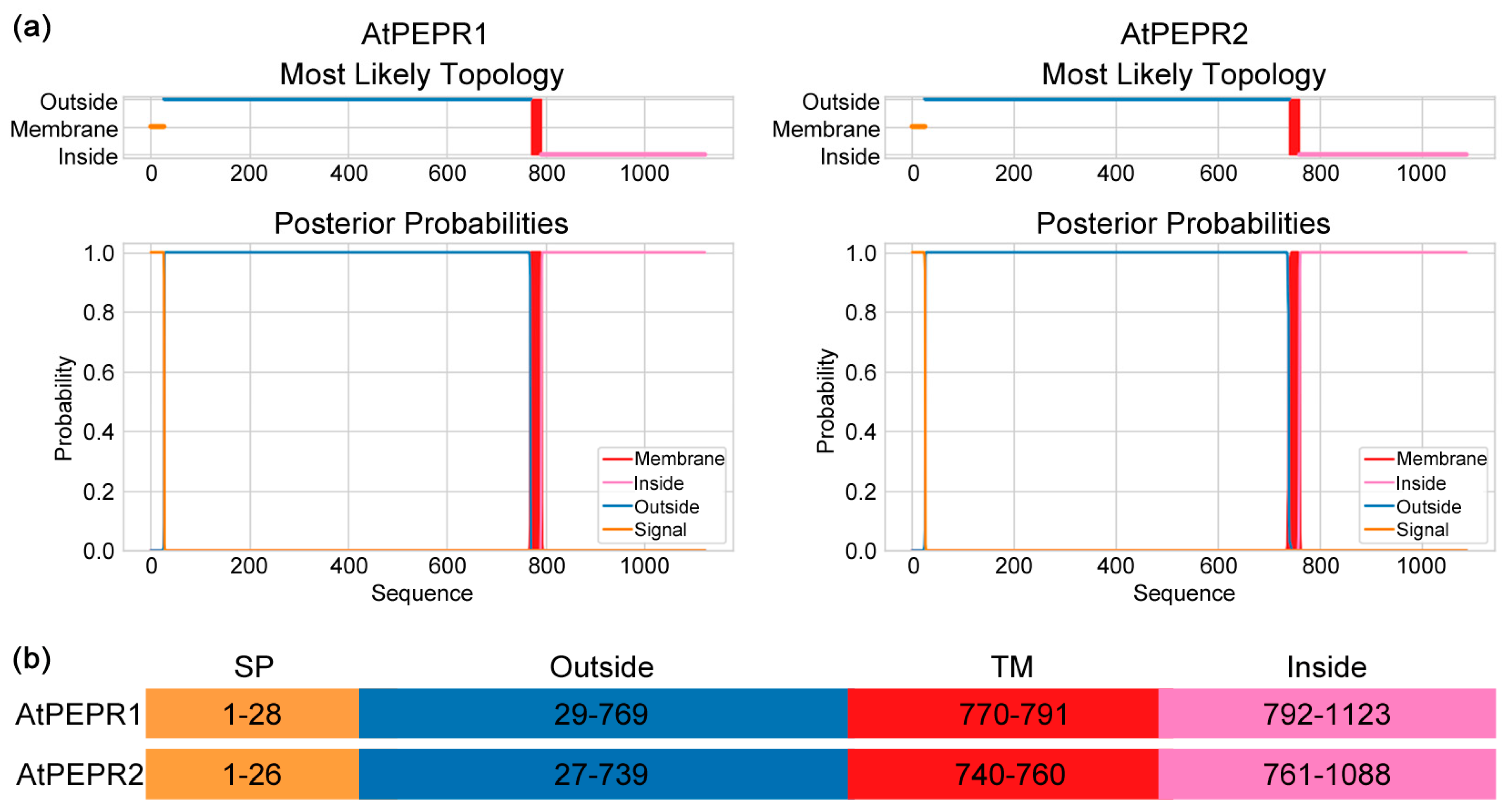 Antioxidants 13 00549 g007