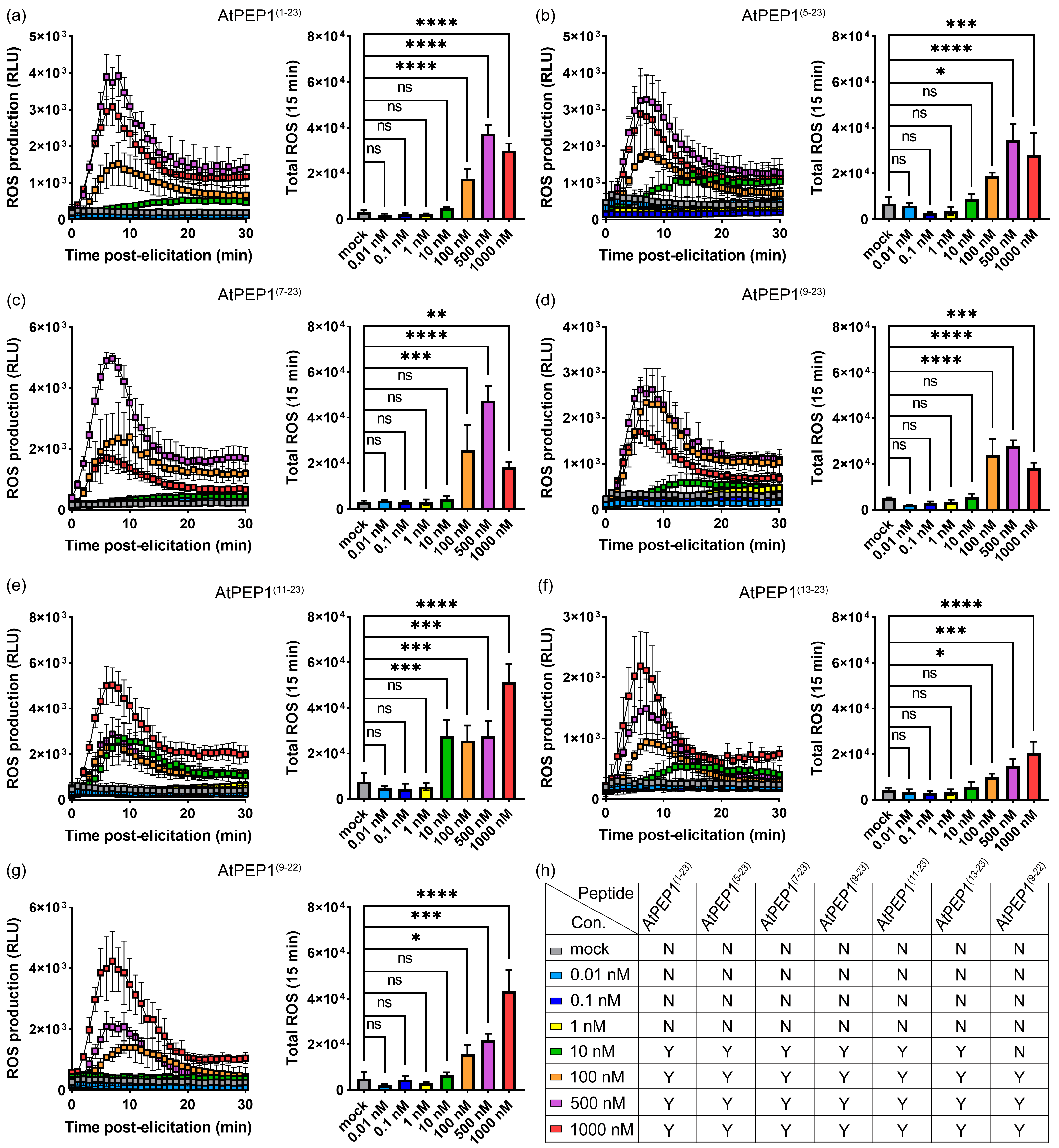 Antioxidants 13 00549 g009