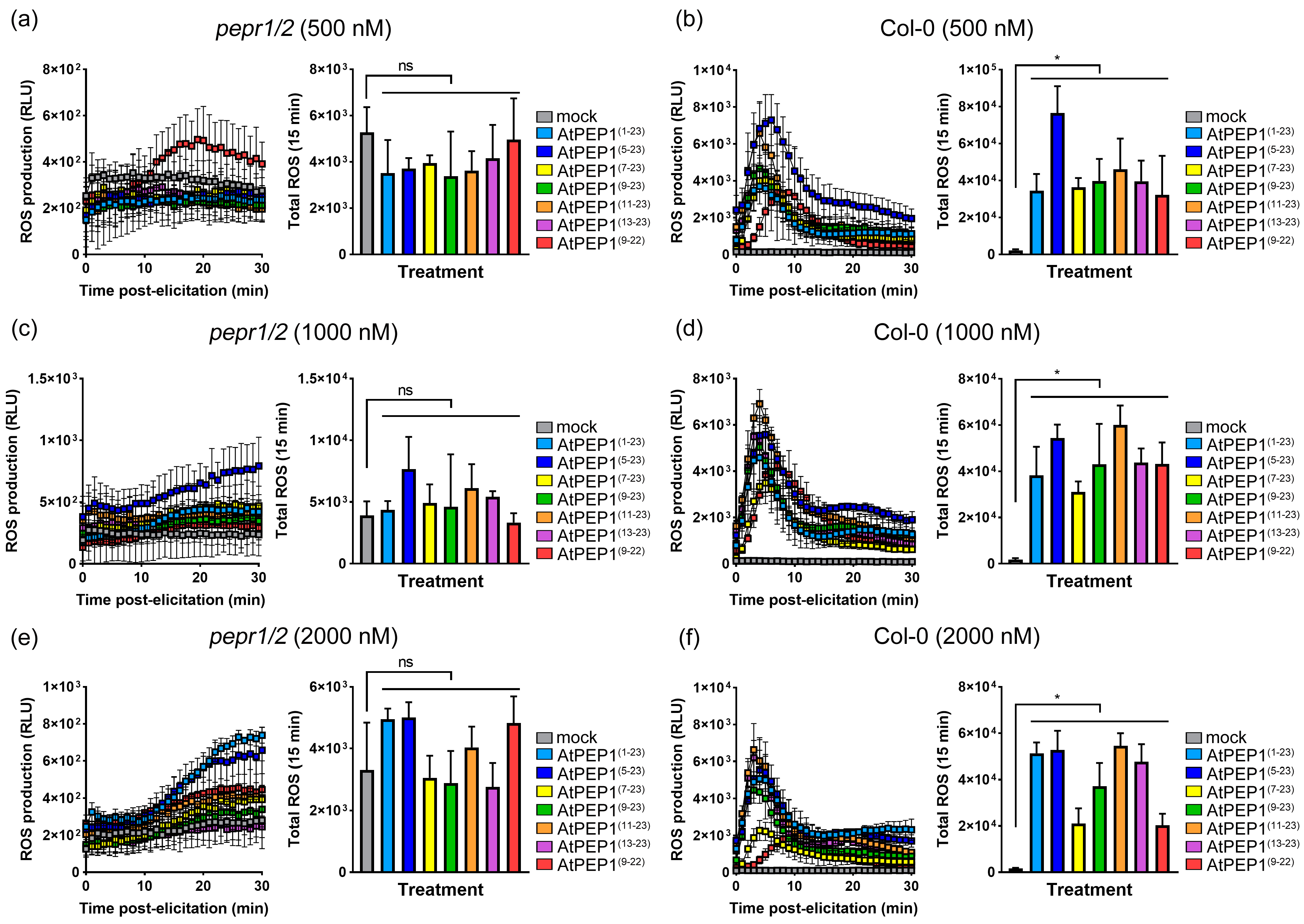 Antioxidants 13 00549 g010