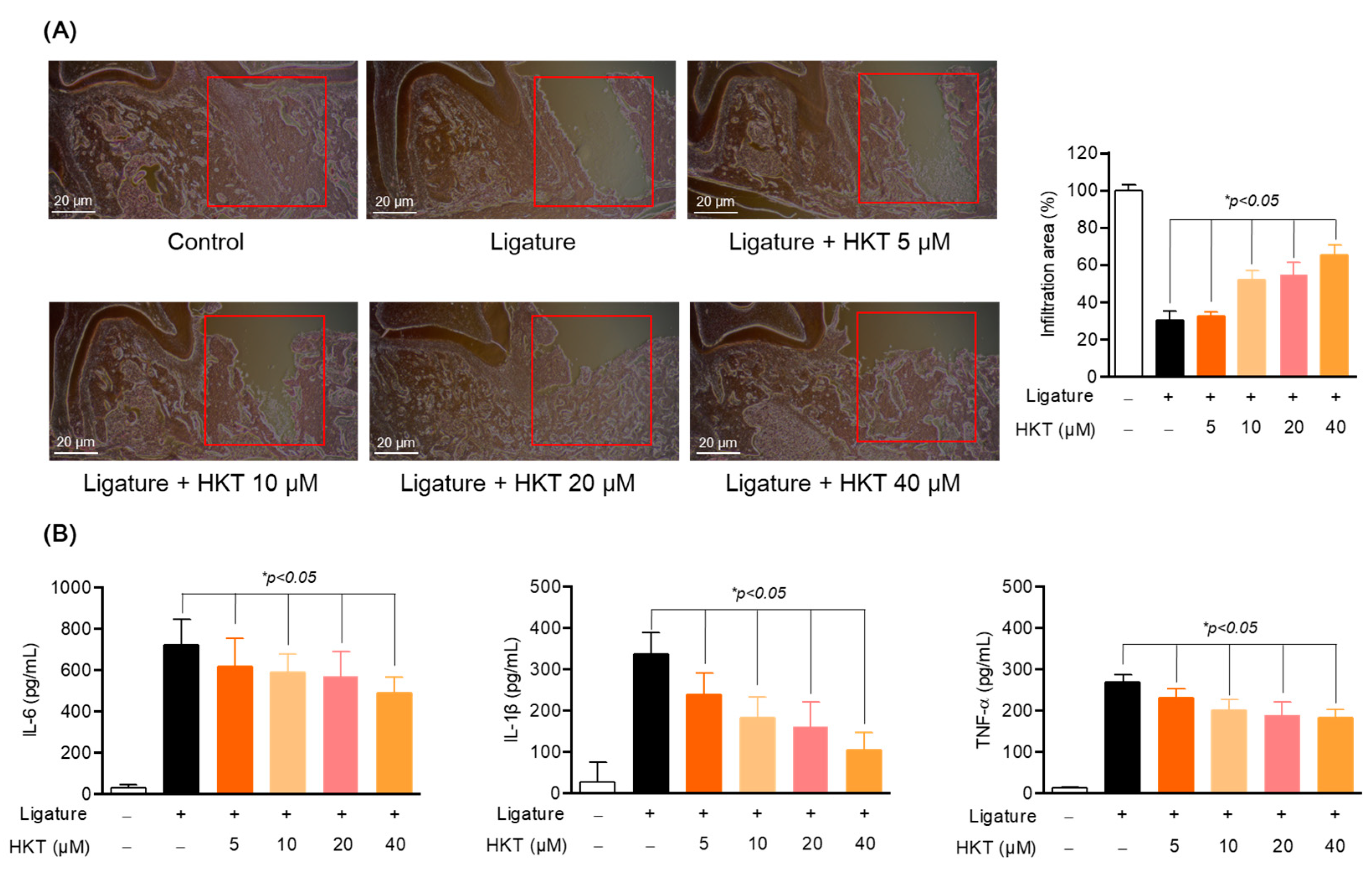 Antioxidants 13 00550 g009