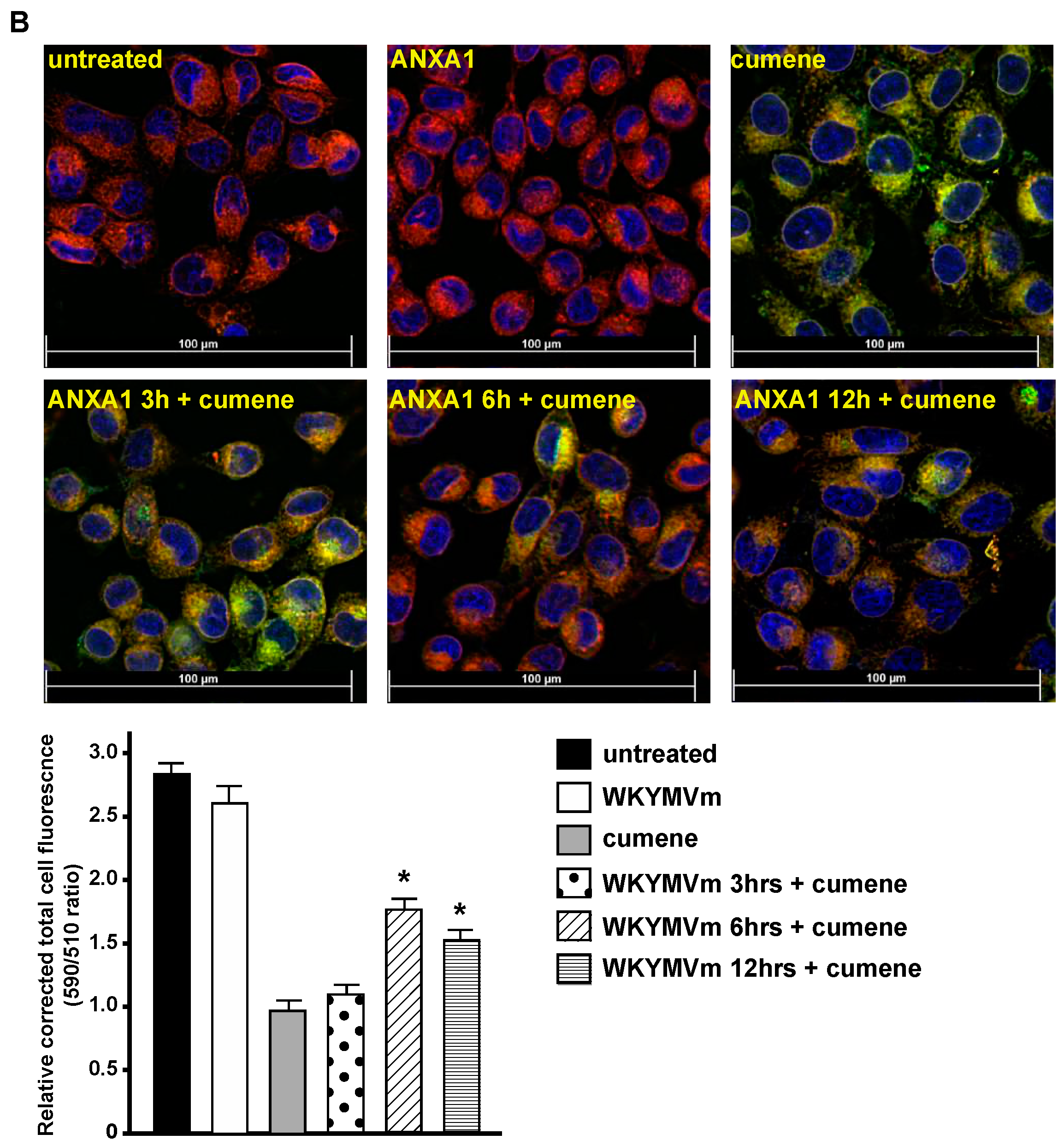 Antioxidants 13 00552 g004b