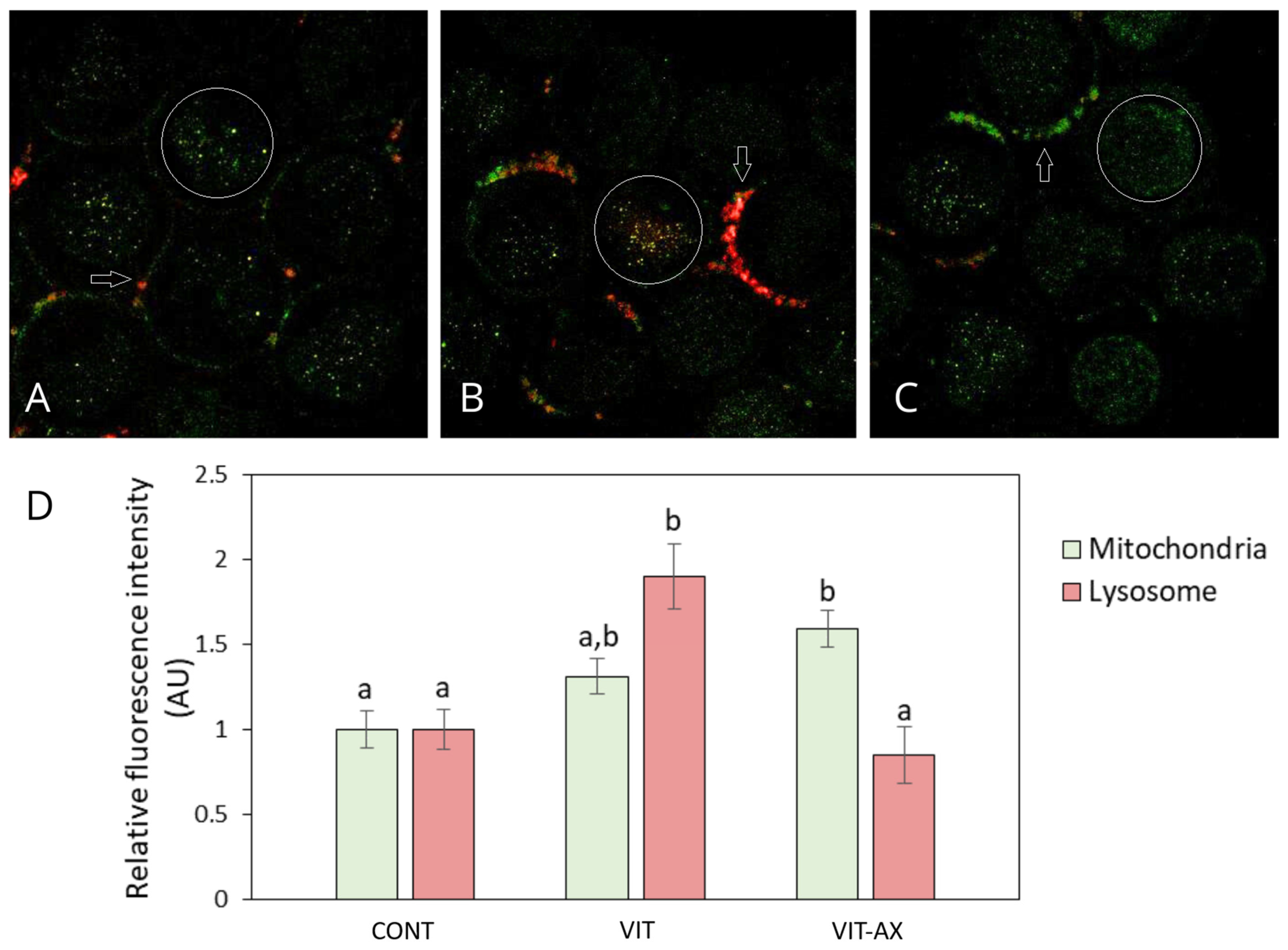 Antioxidants 13 00556 g001