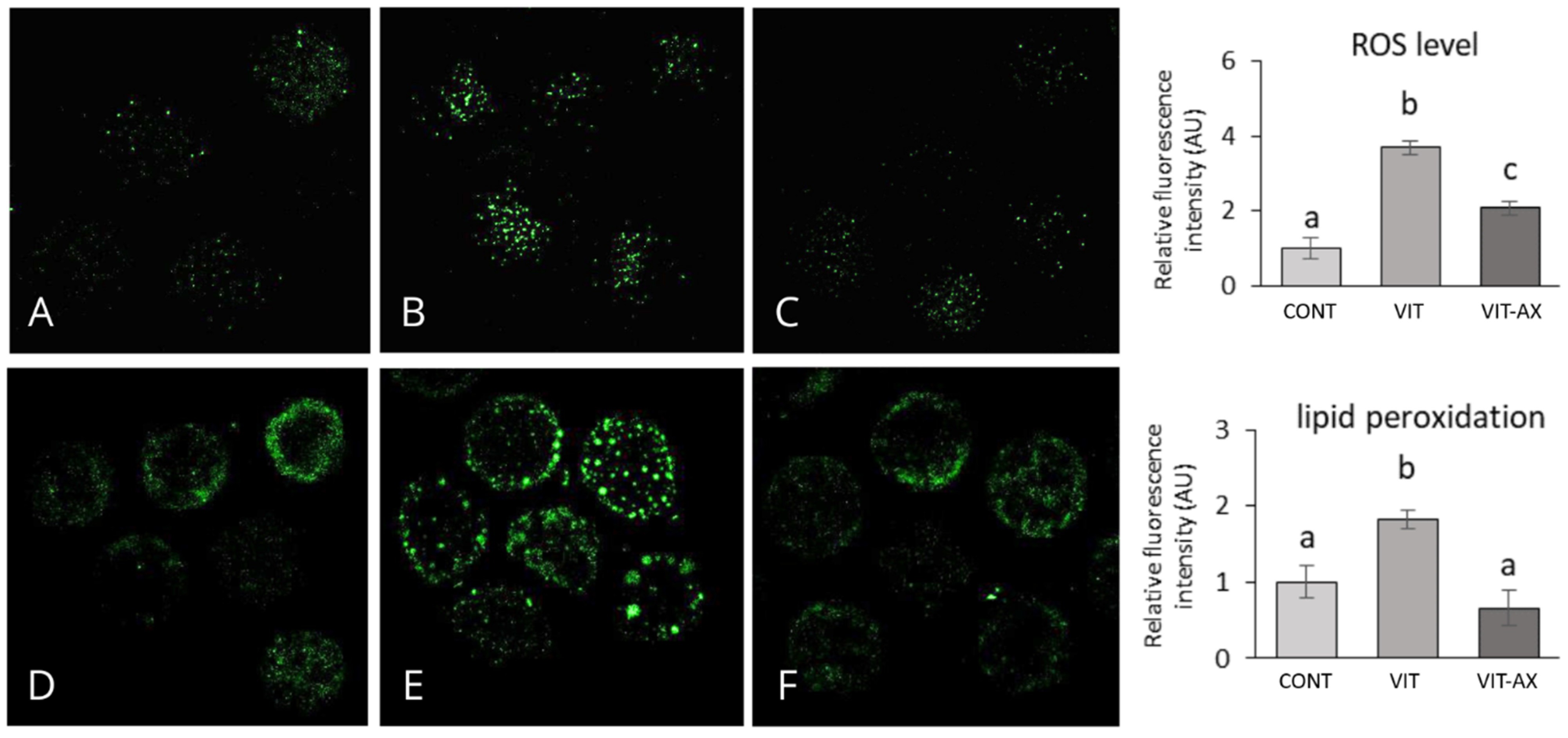 Antioxidants 13 00556 g002