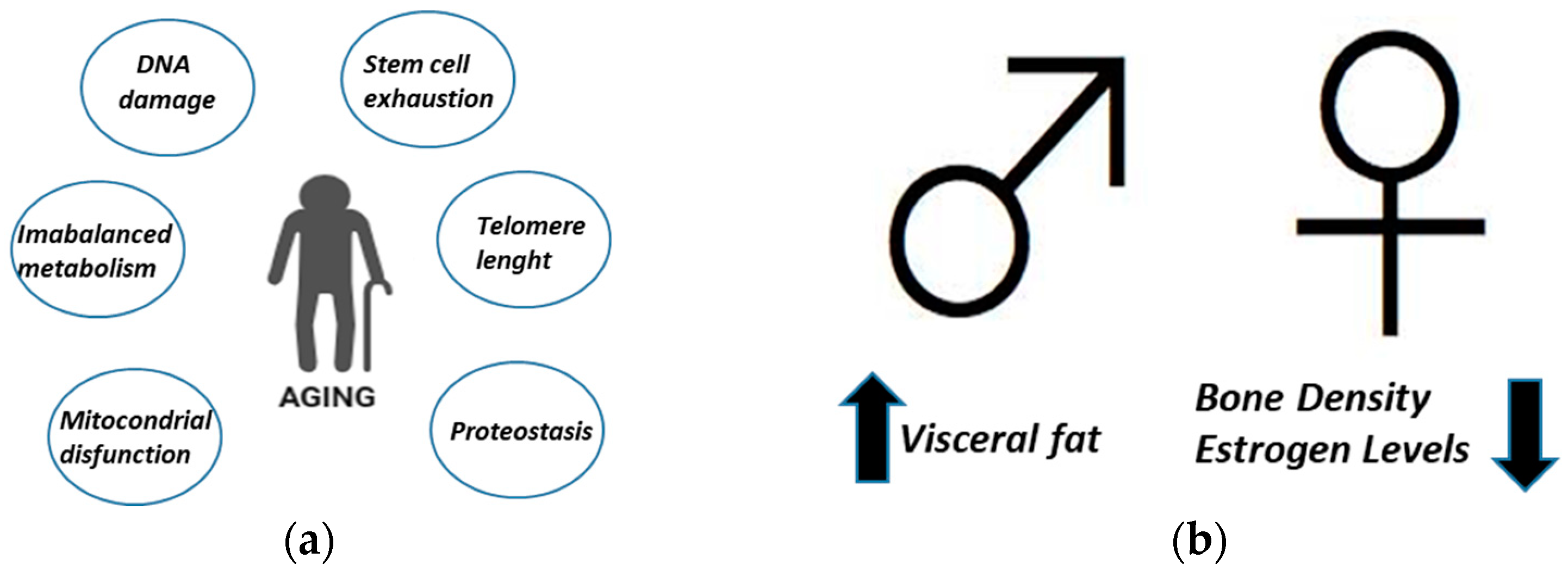 Antioxidants 13 00557 g001