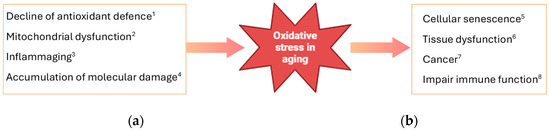 Antioxidants 13 00557 g002