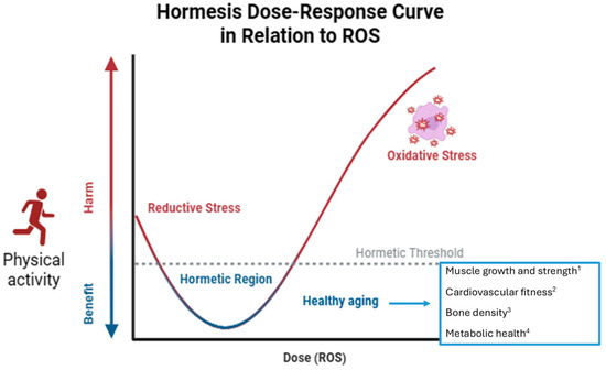 Antioxidants 13 00557 g003
