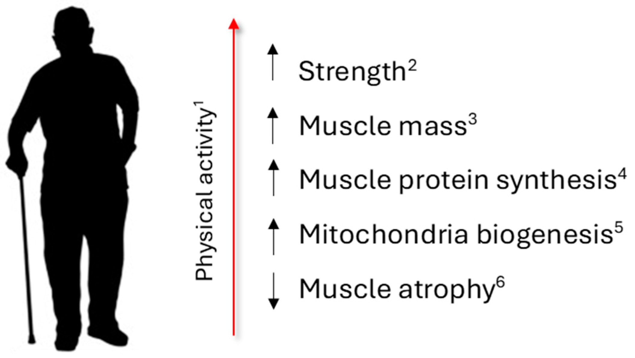 Antioxidants 13 00557 g004
