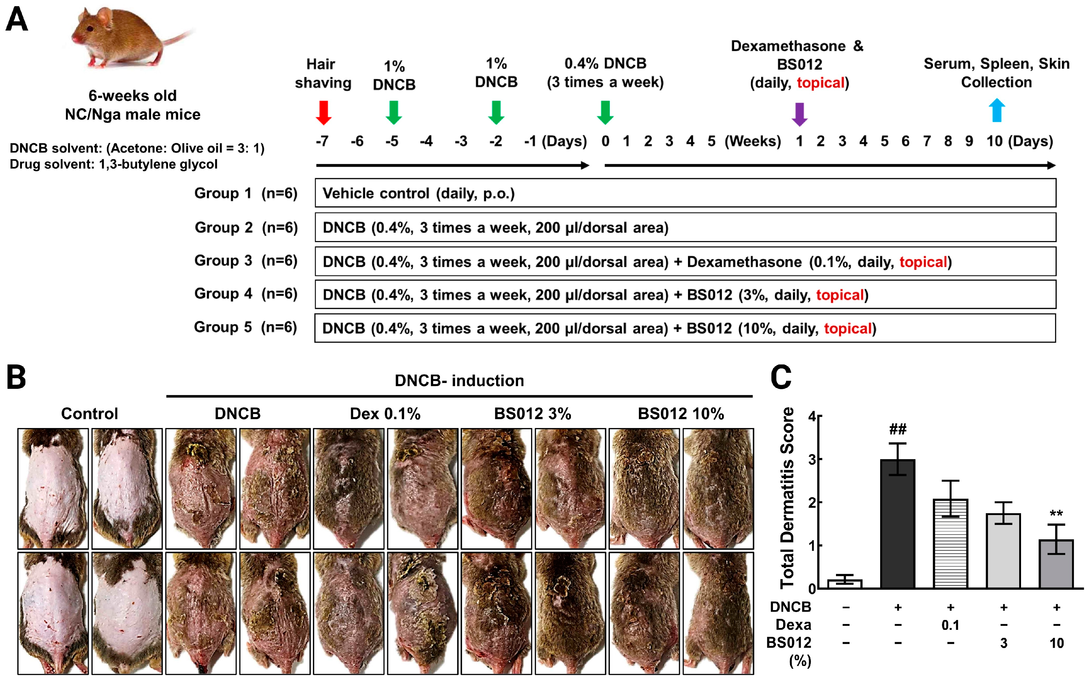 Antioxidants 13 00563 g001