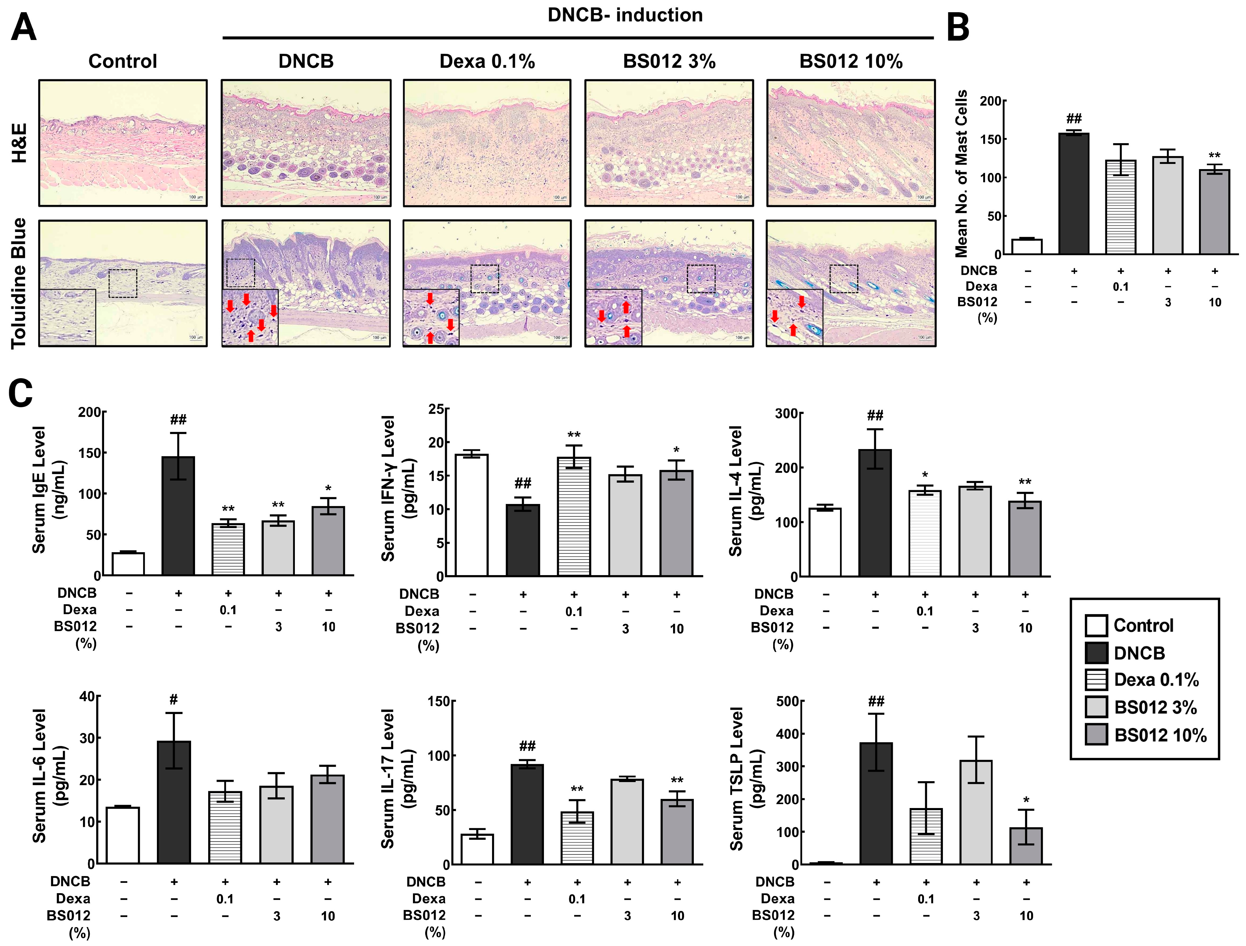 Antioxidants 13 00563 g002