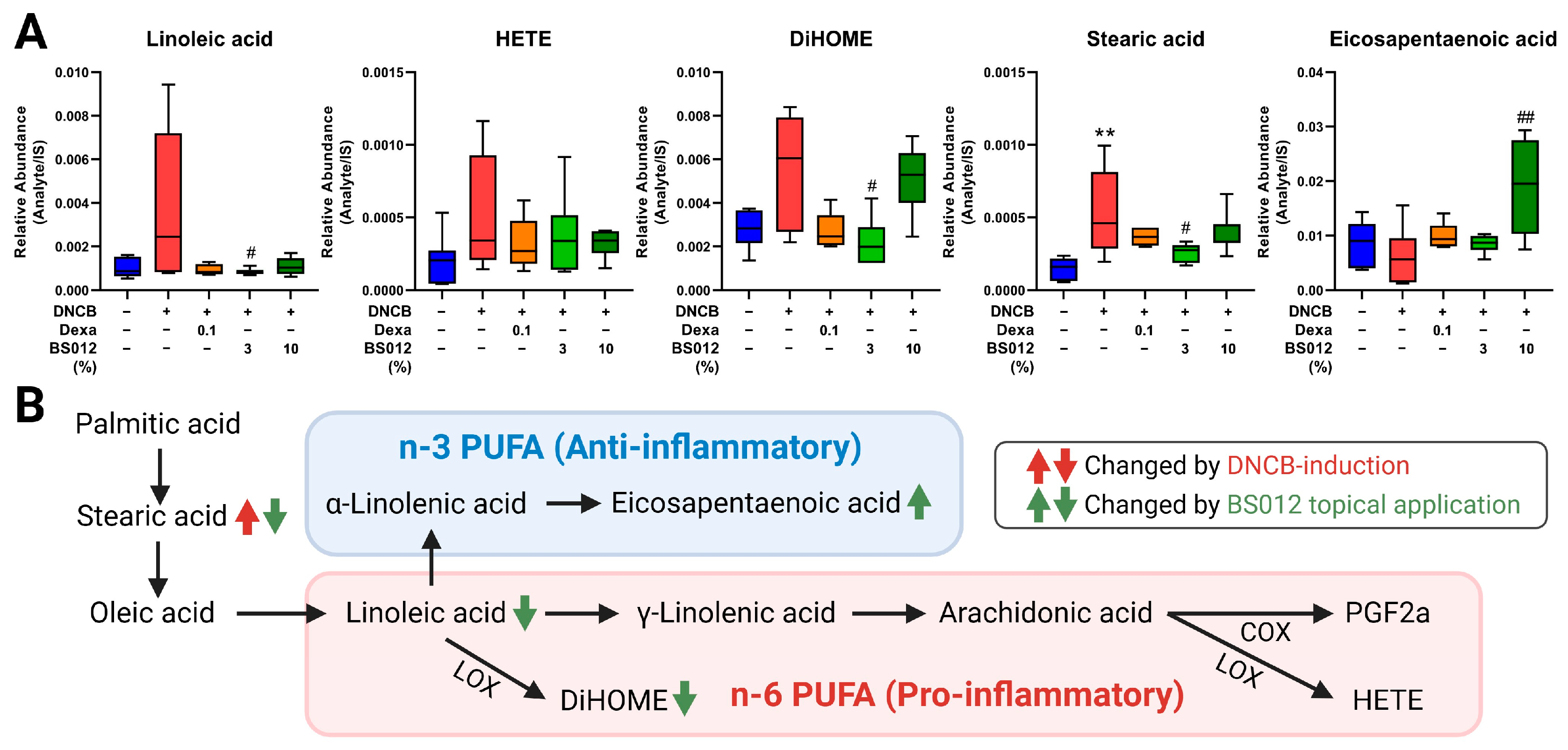 Antioxidants 13 00563 g004