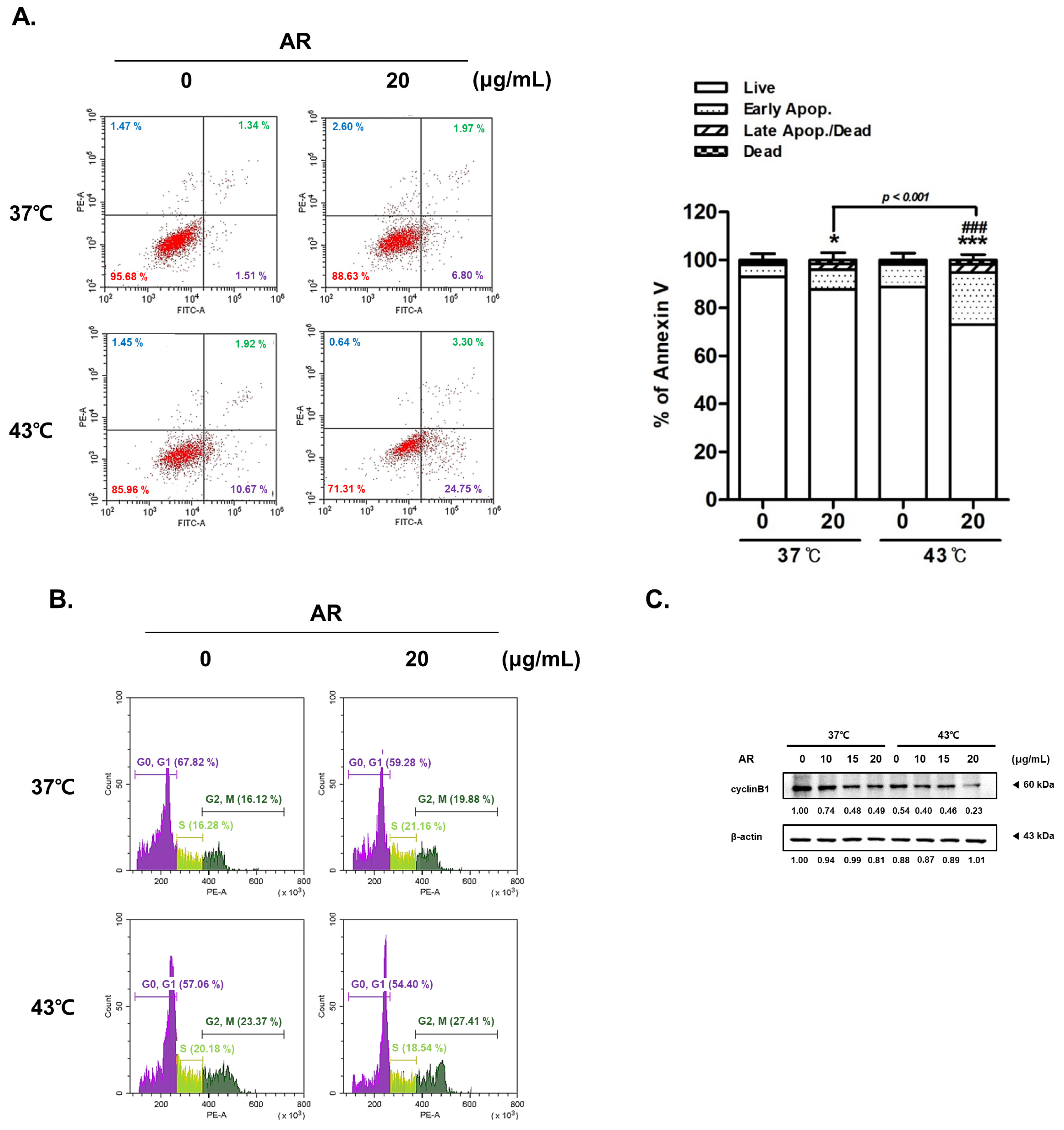 Antioxidants 13 00564 g004