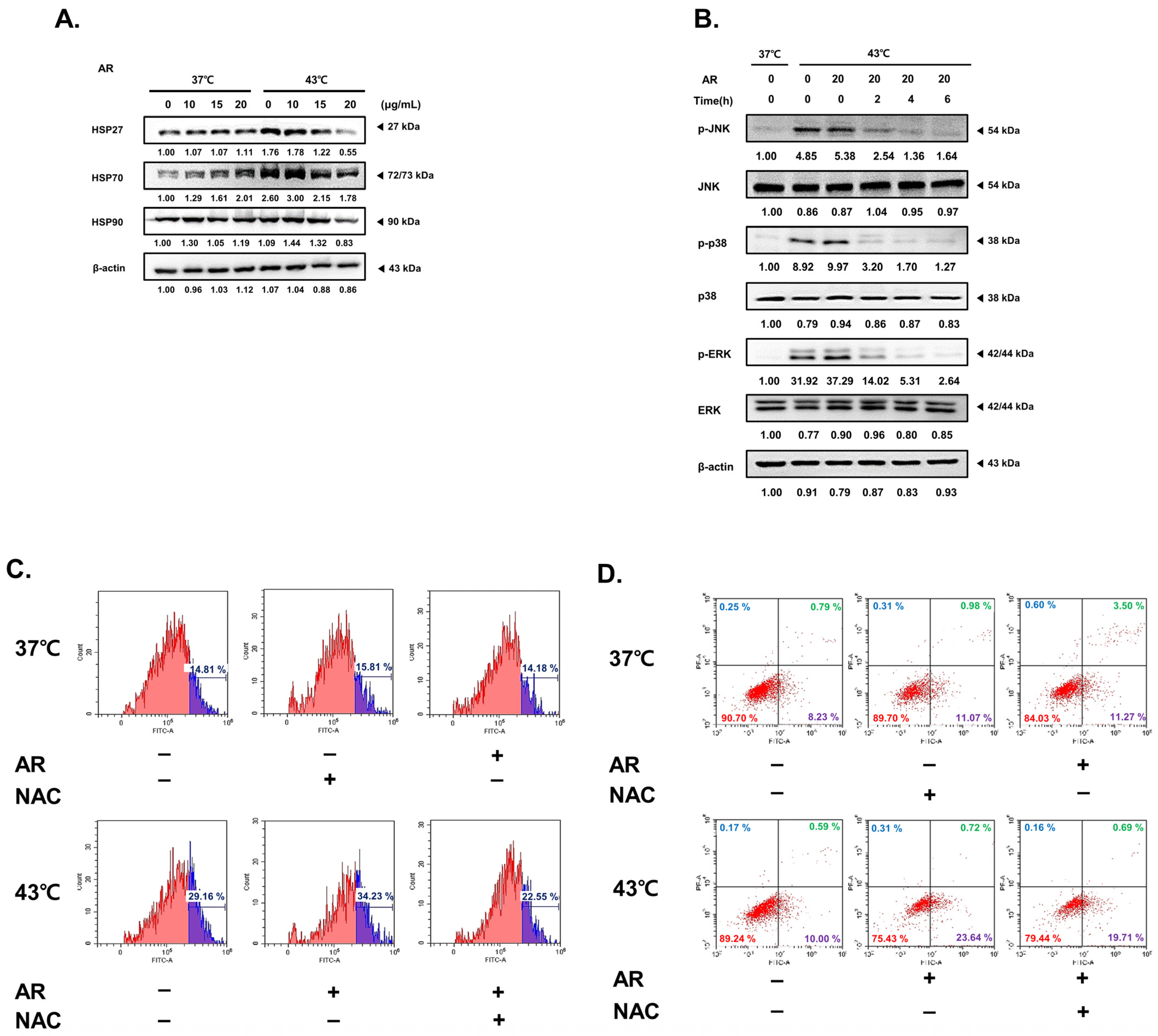 Antioxidants 13 00564 g005