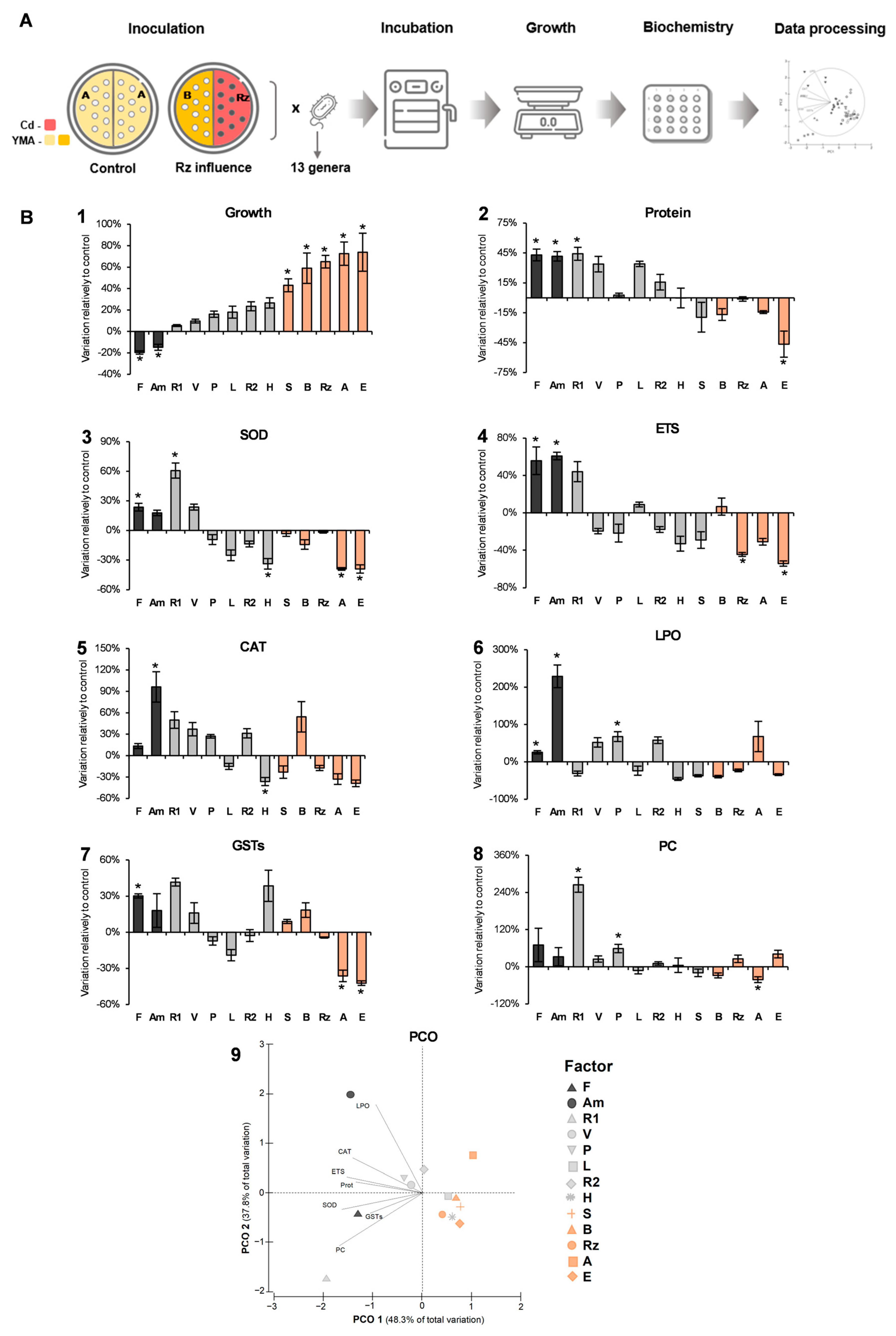 Antioxidants 13 00565 g002