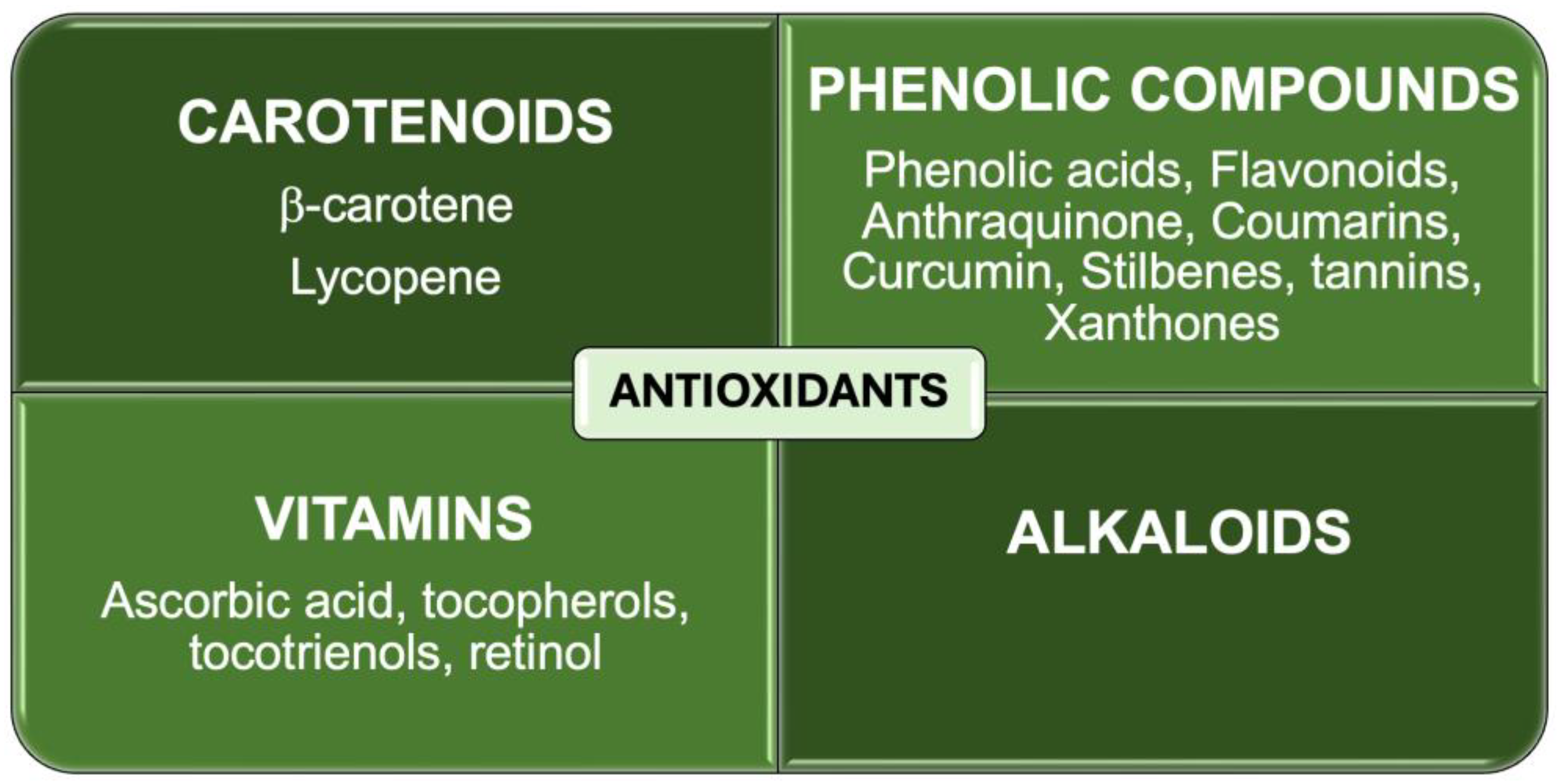 Antioxidants 13 00566 g002