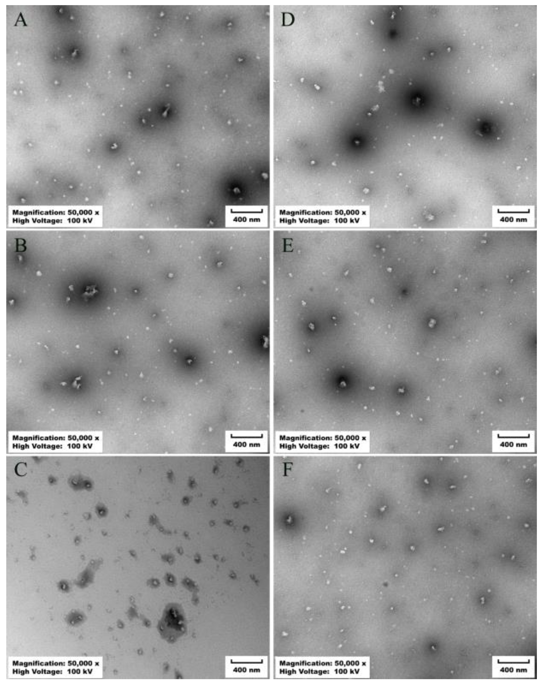 Antioxidants 13 00567 g007