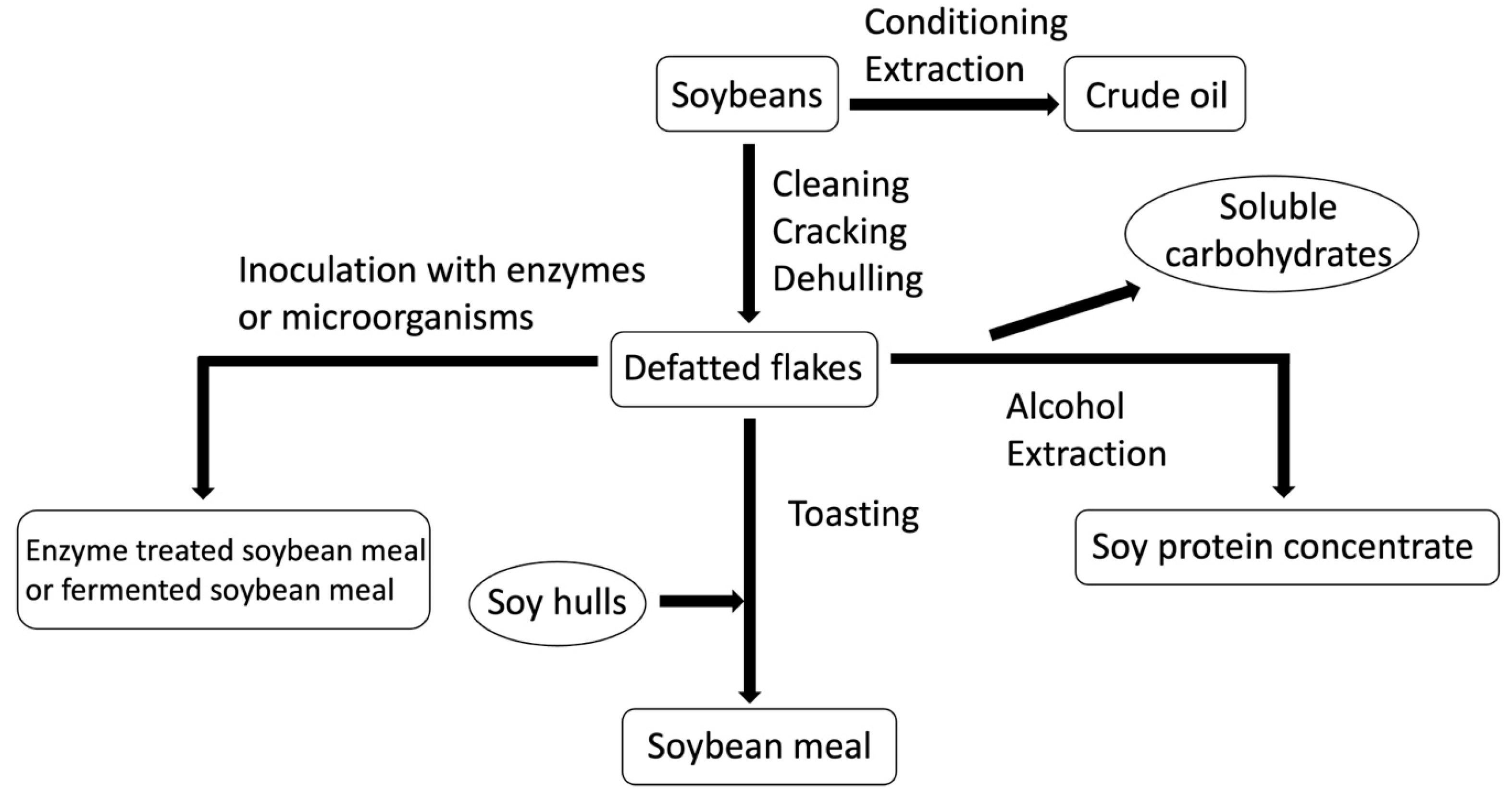 Antioxidants 13 00569 g002