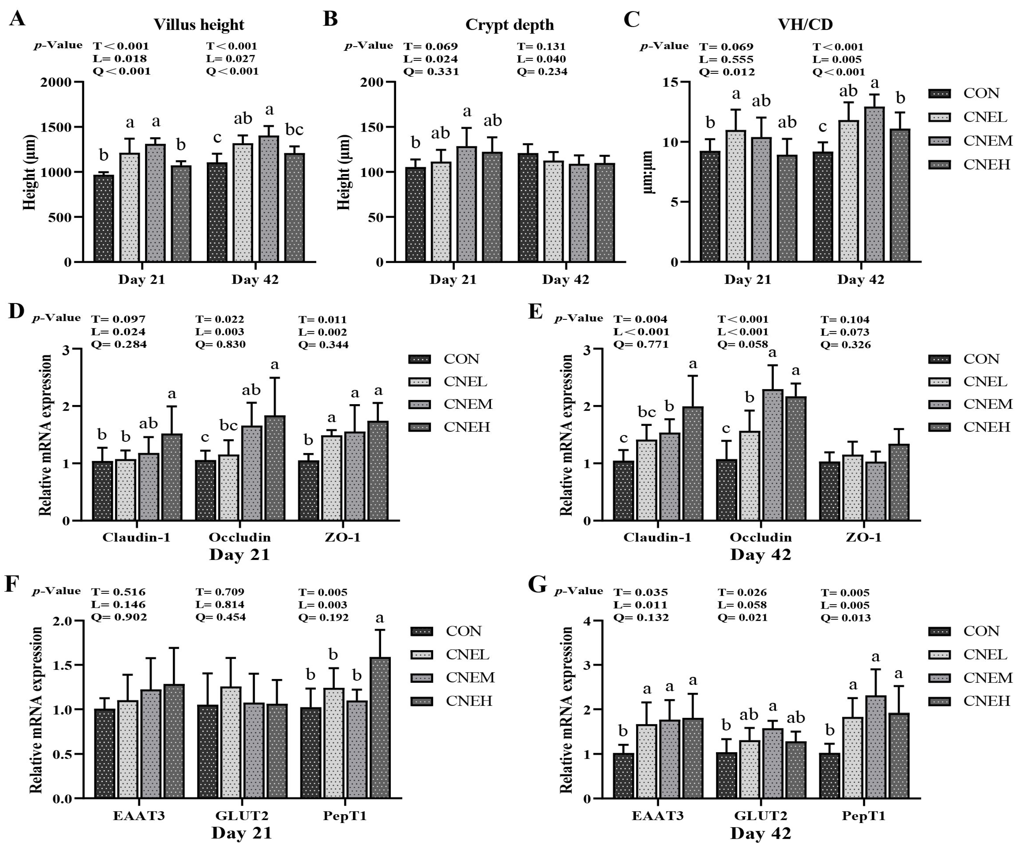 Antioxidants 13 00572 g005