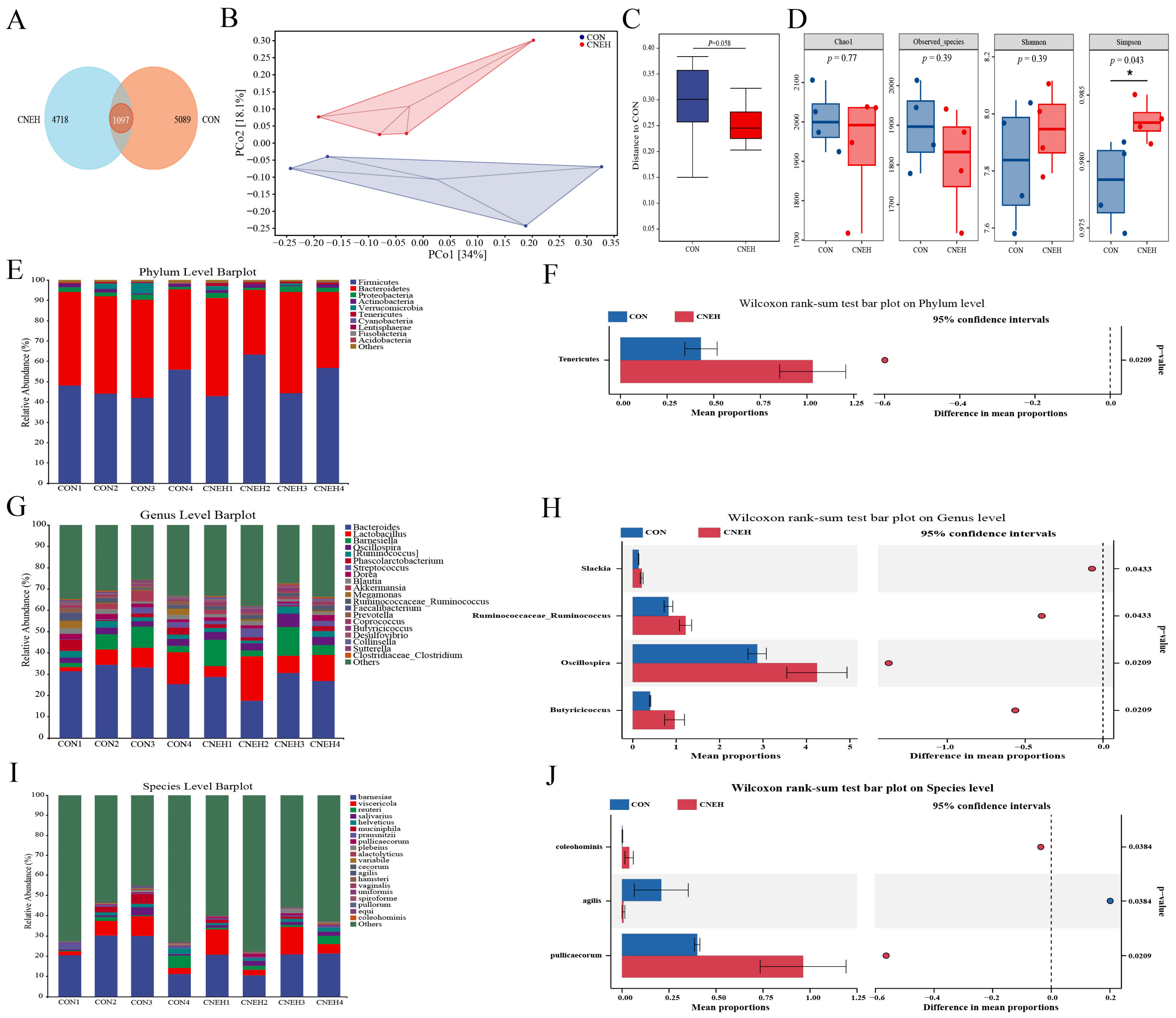 Antioxidants 13 00572 g006