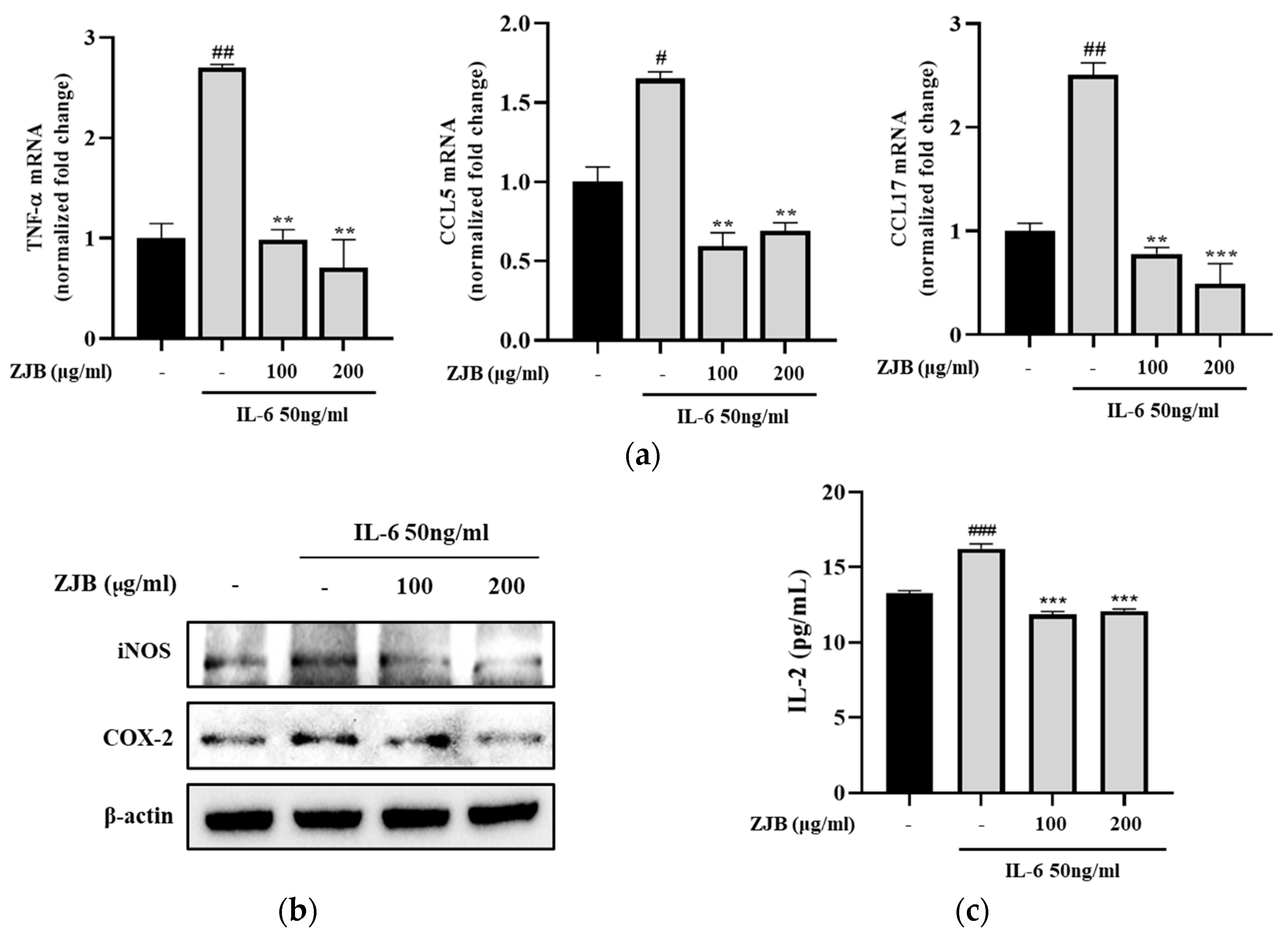 Antioxidants 13 00575 g004