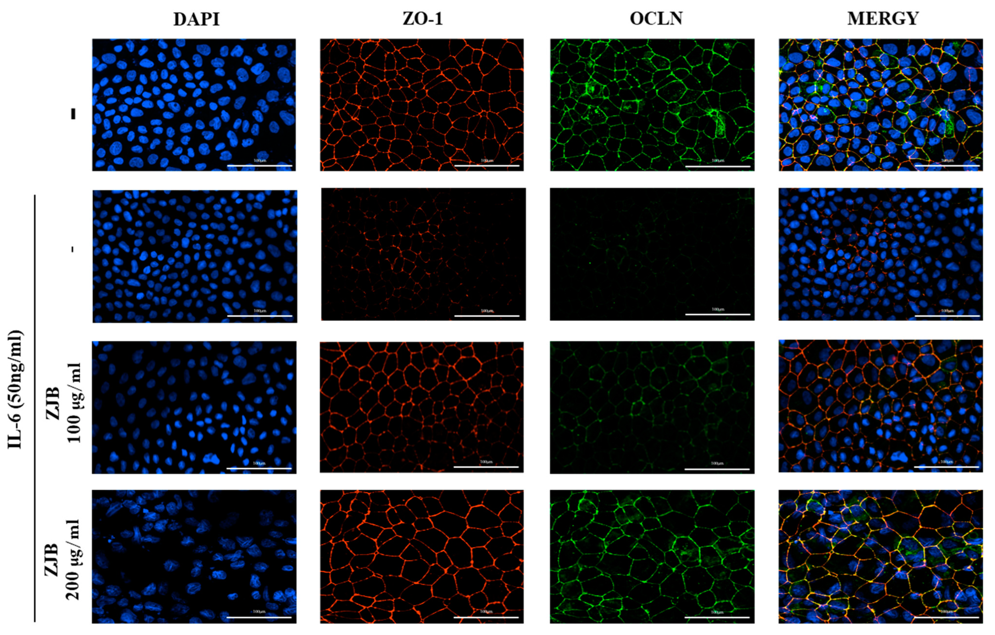Antioxidants 13 00575 g006