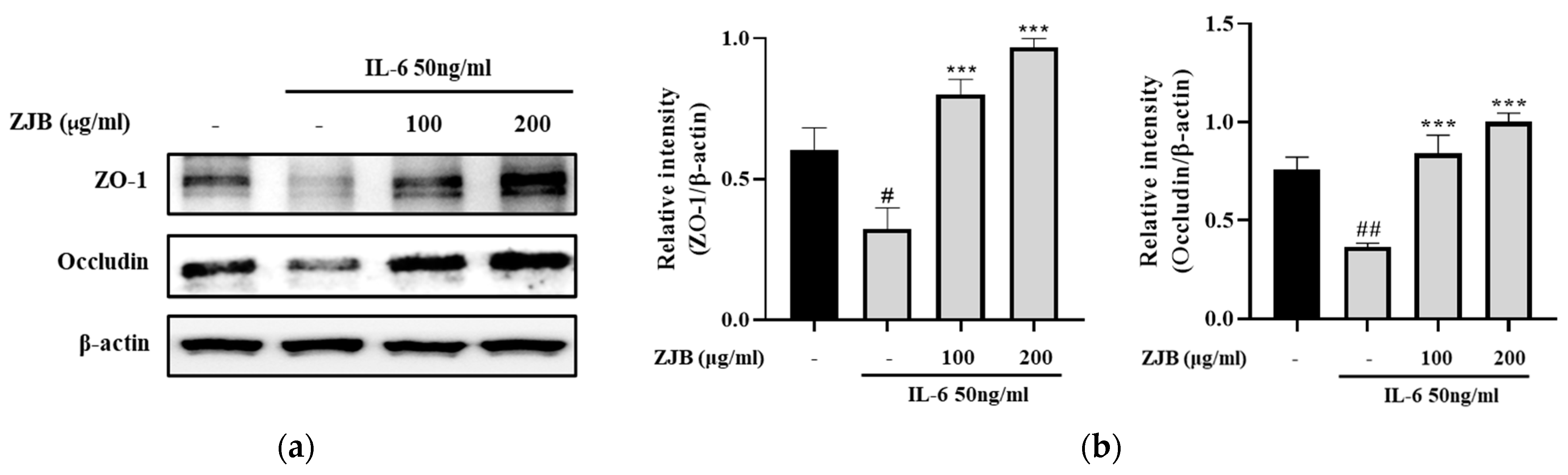 Antioxidants 13 00575 g007