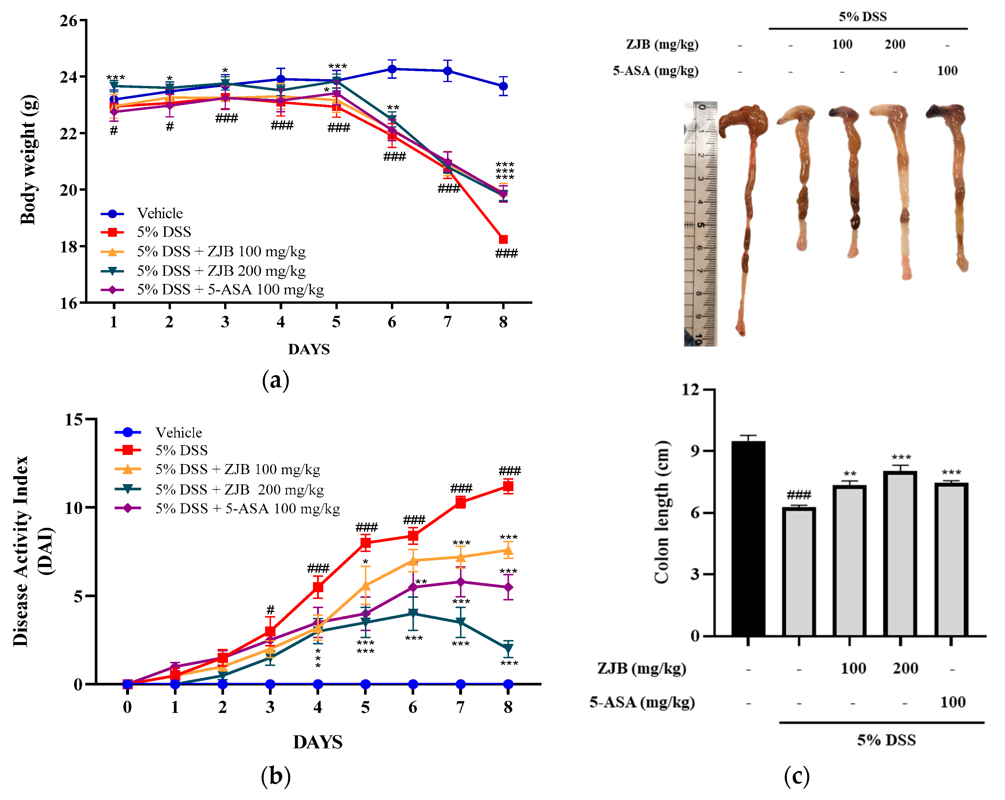 Antioxidants 13 00575 g008