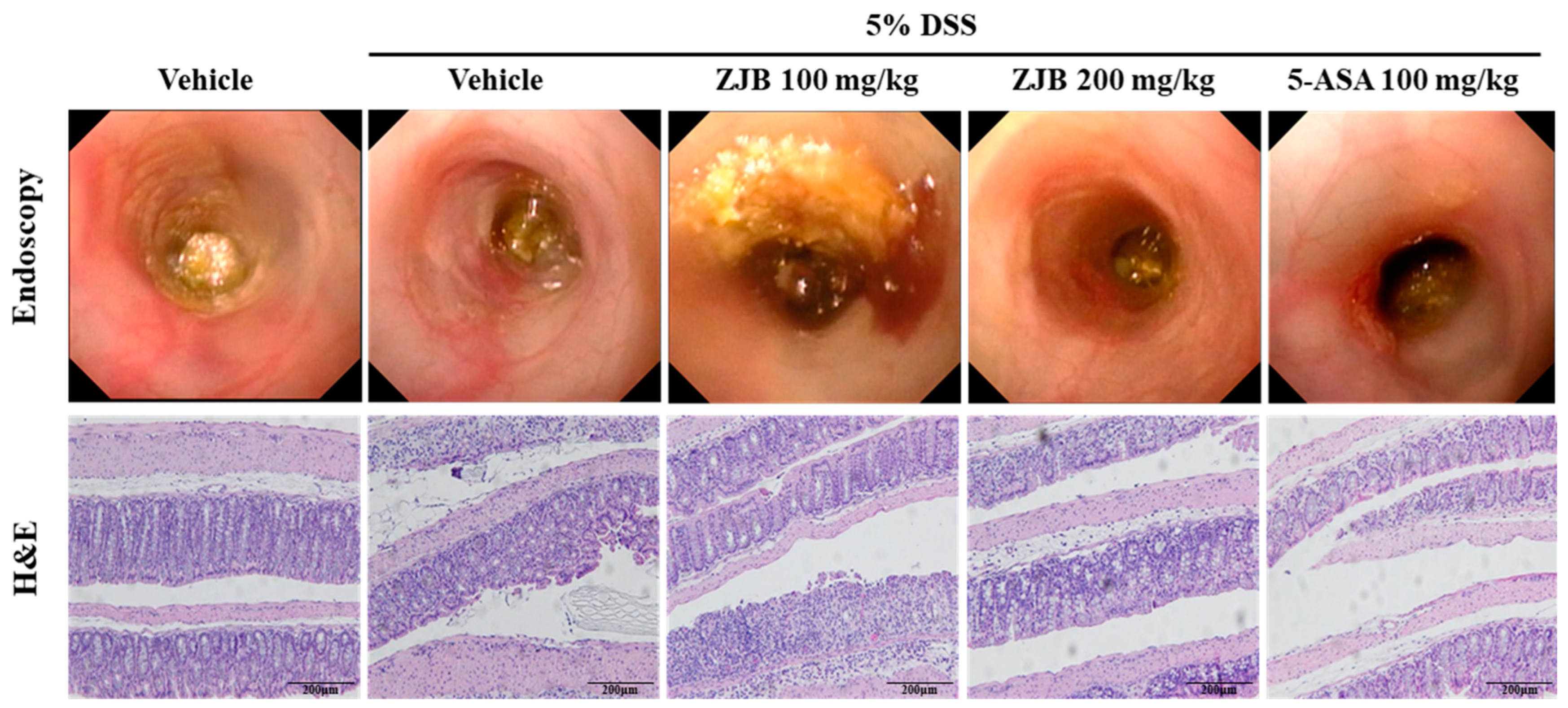 Antioxidants 13 00575 g009