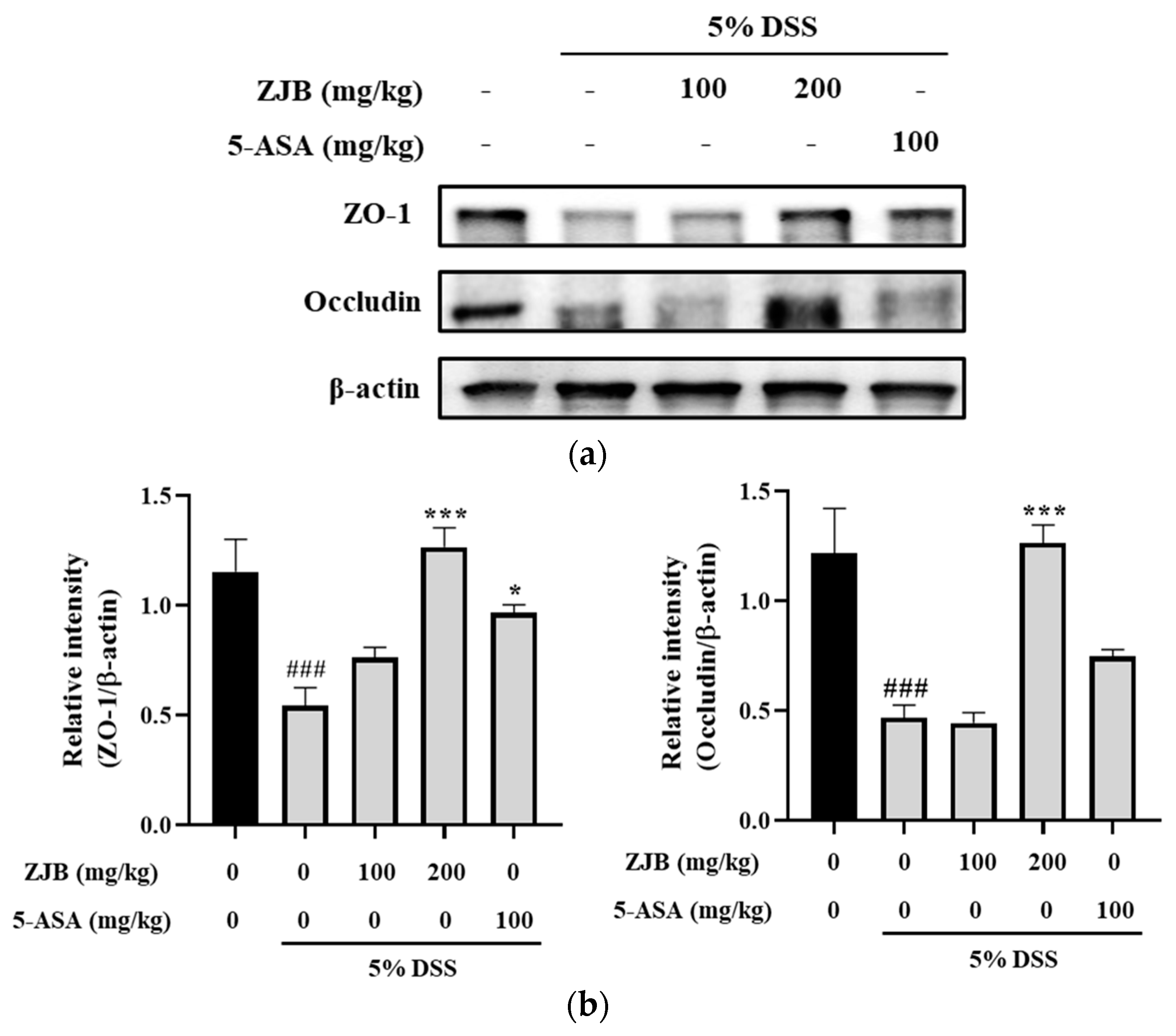 Antioxidants 13 00575 g010