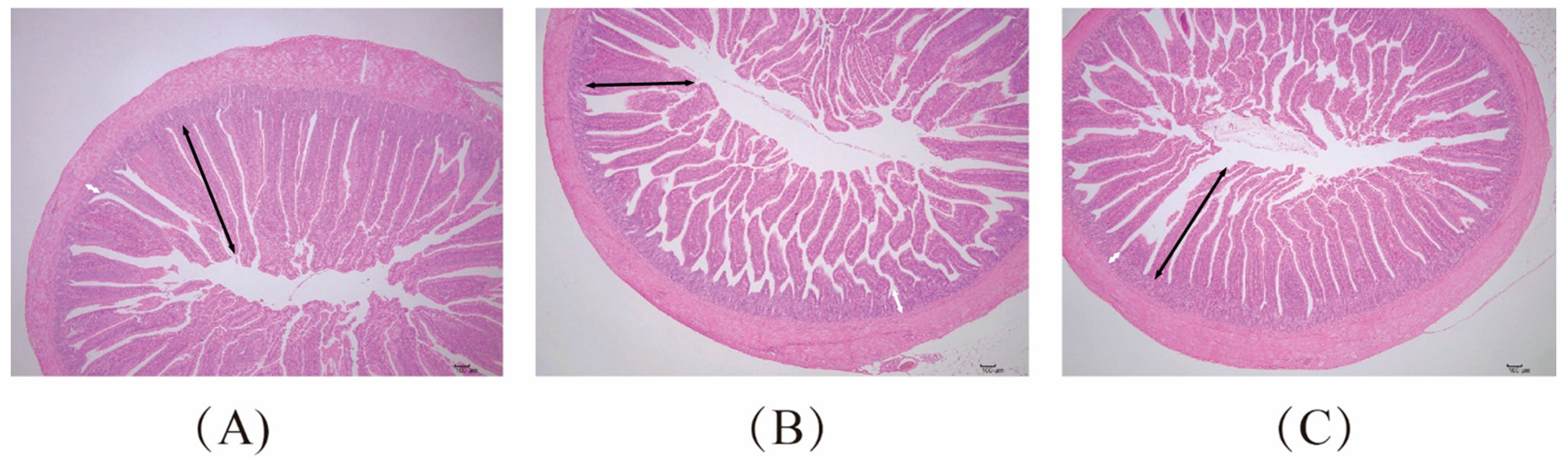 Antioxidants 13 00578 g001