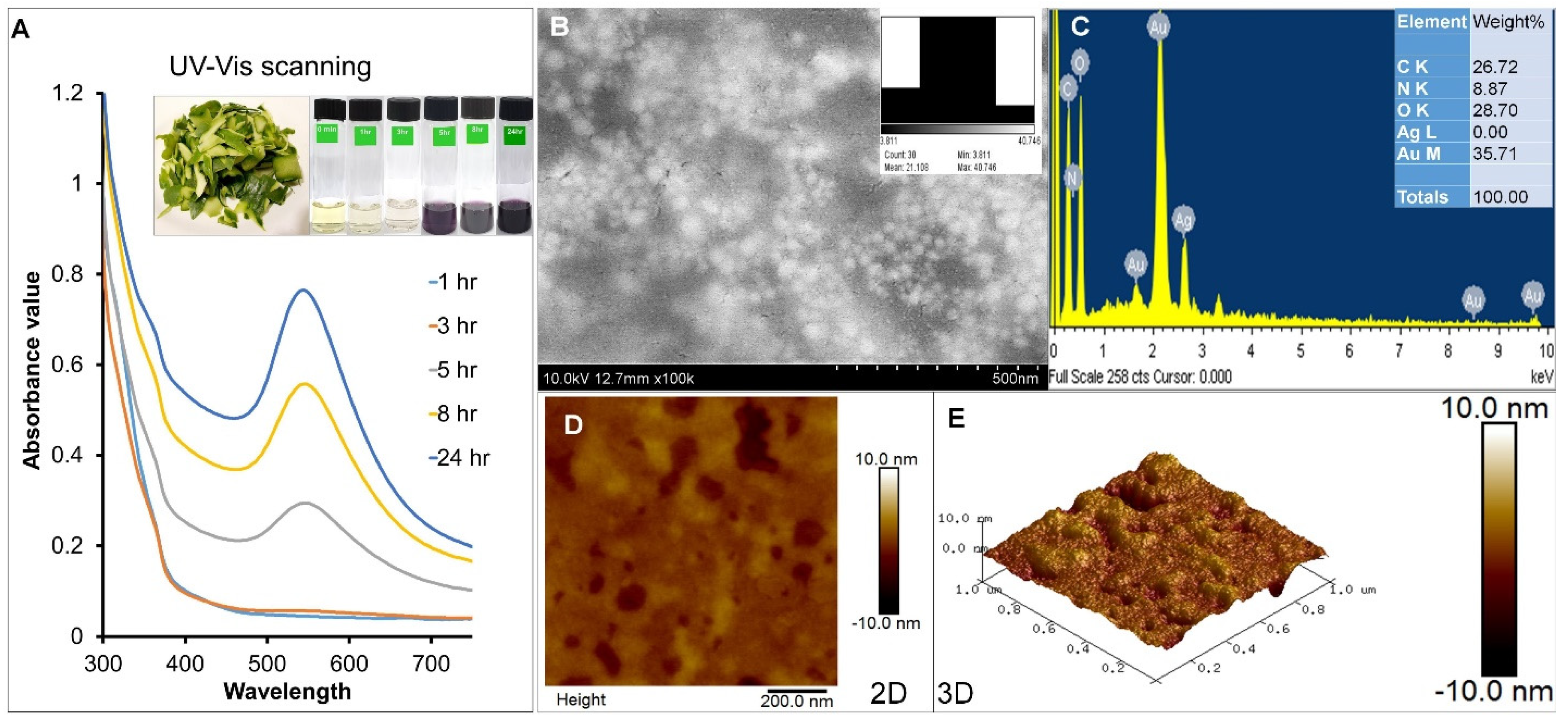 Antioxidants 13 00581 g001