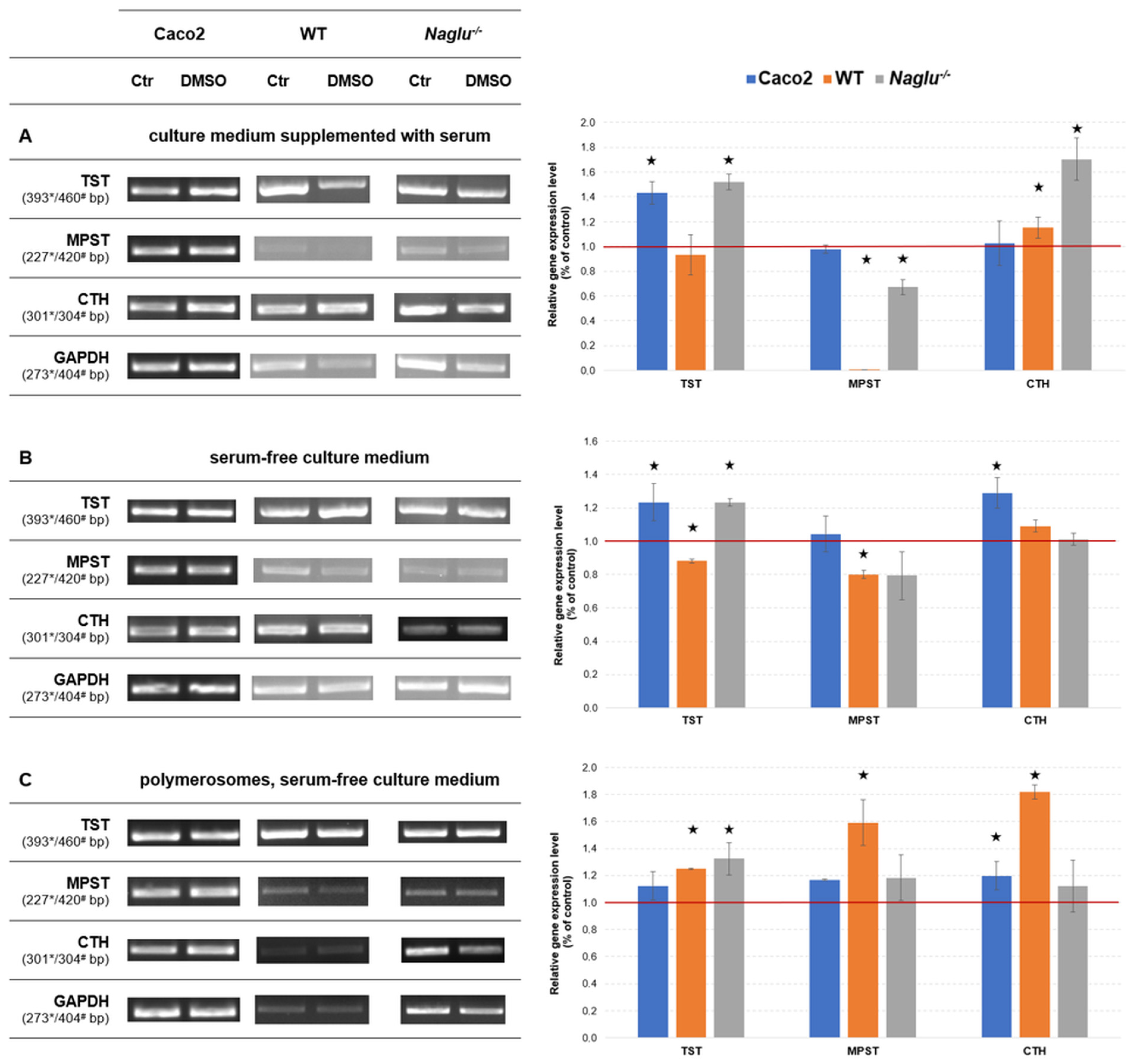 Antioxidants 13 00582 g004