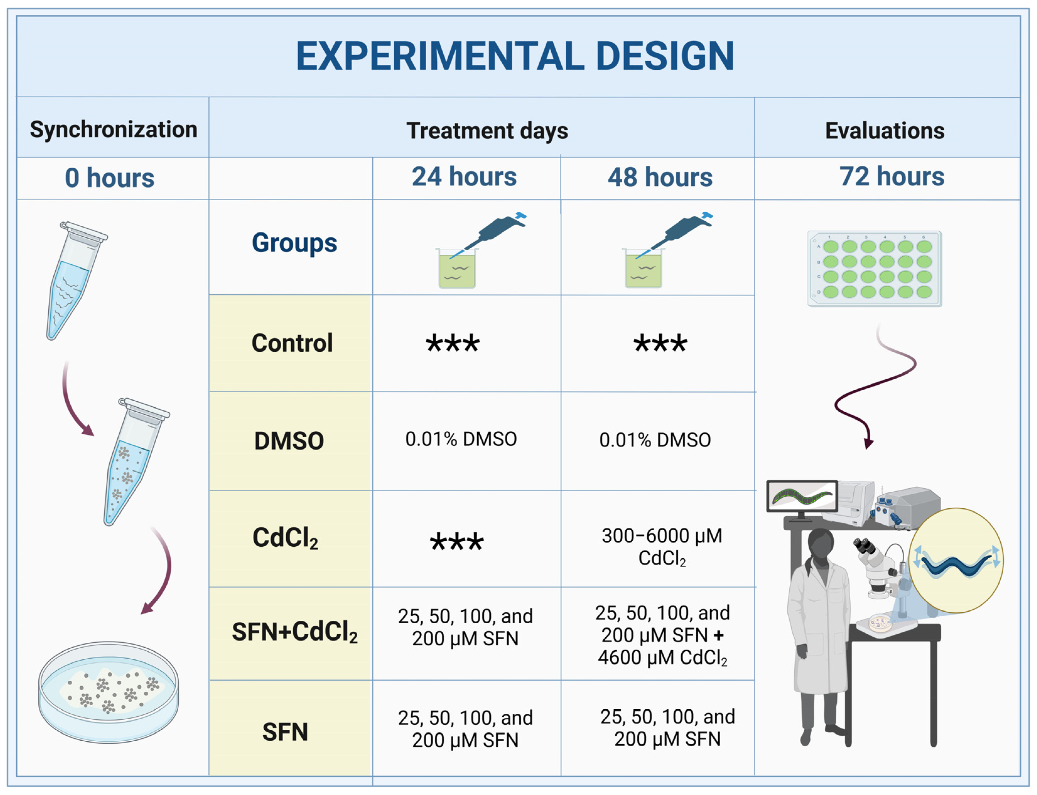 Antioxidants 13 00584 g001