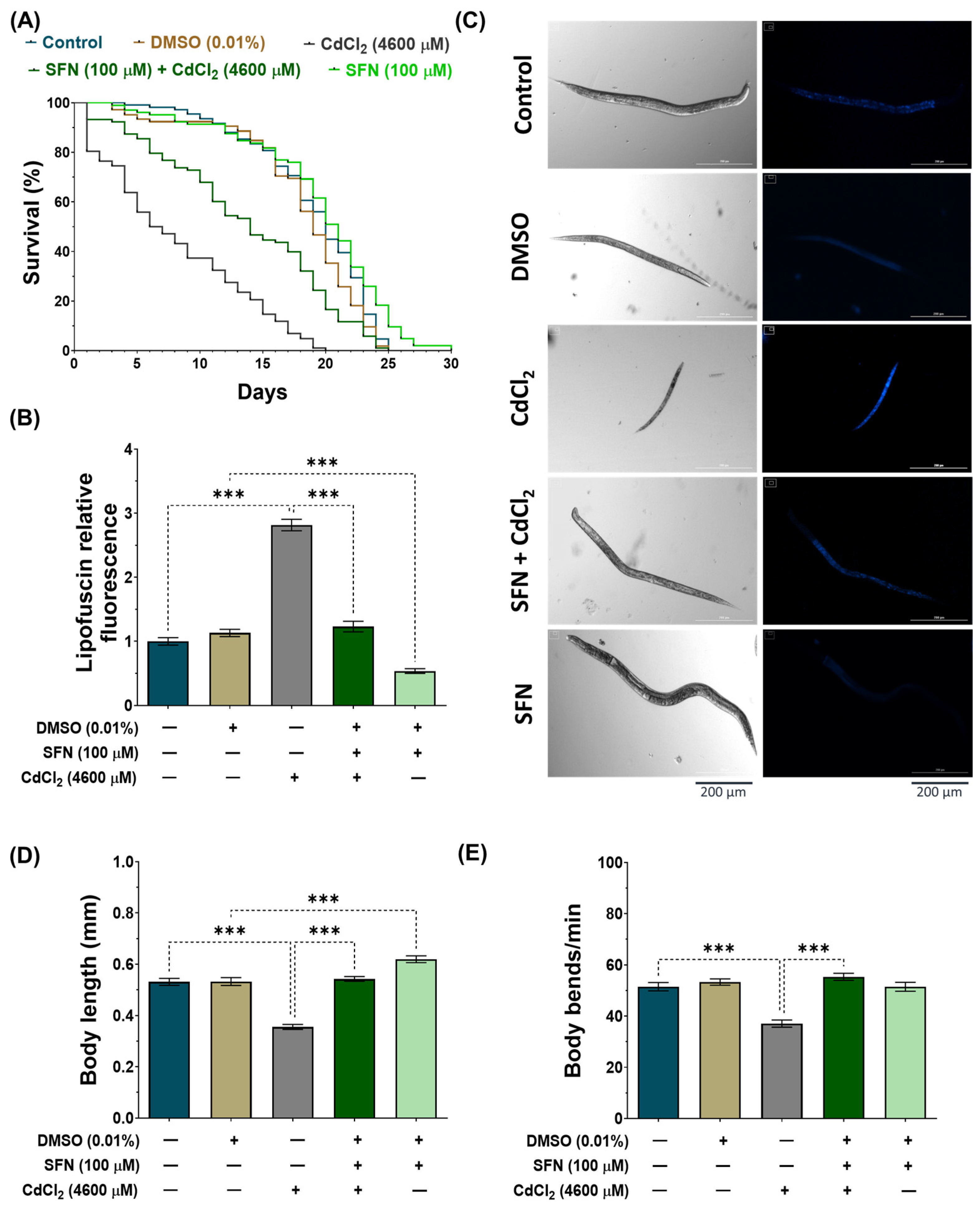 Antioxidants 13 00584 g003