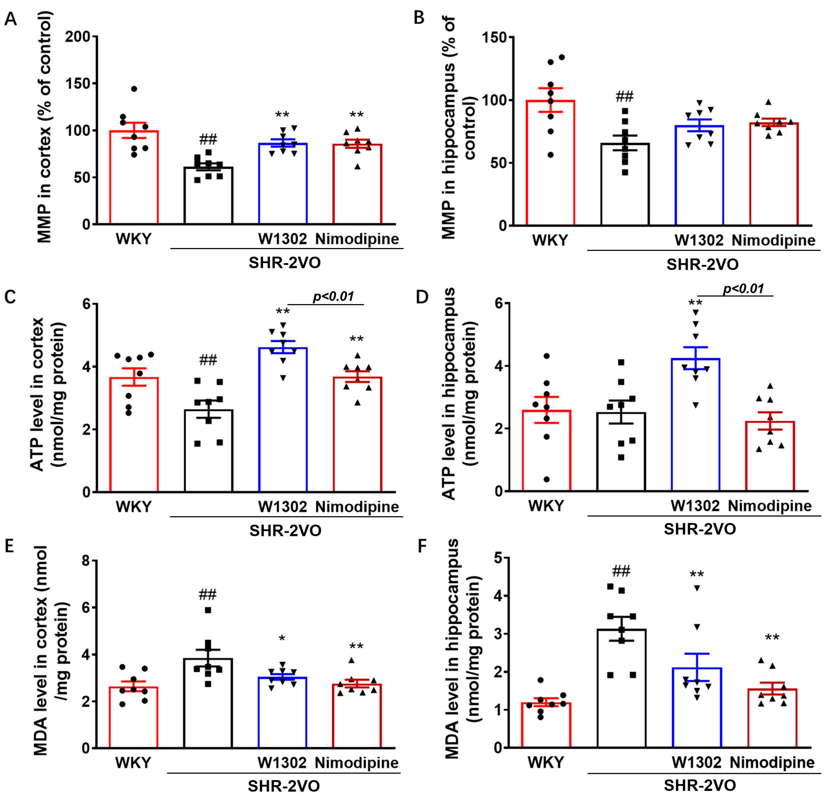 Antioxidants 13 00585 g002