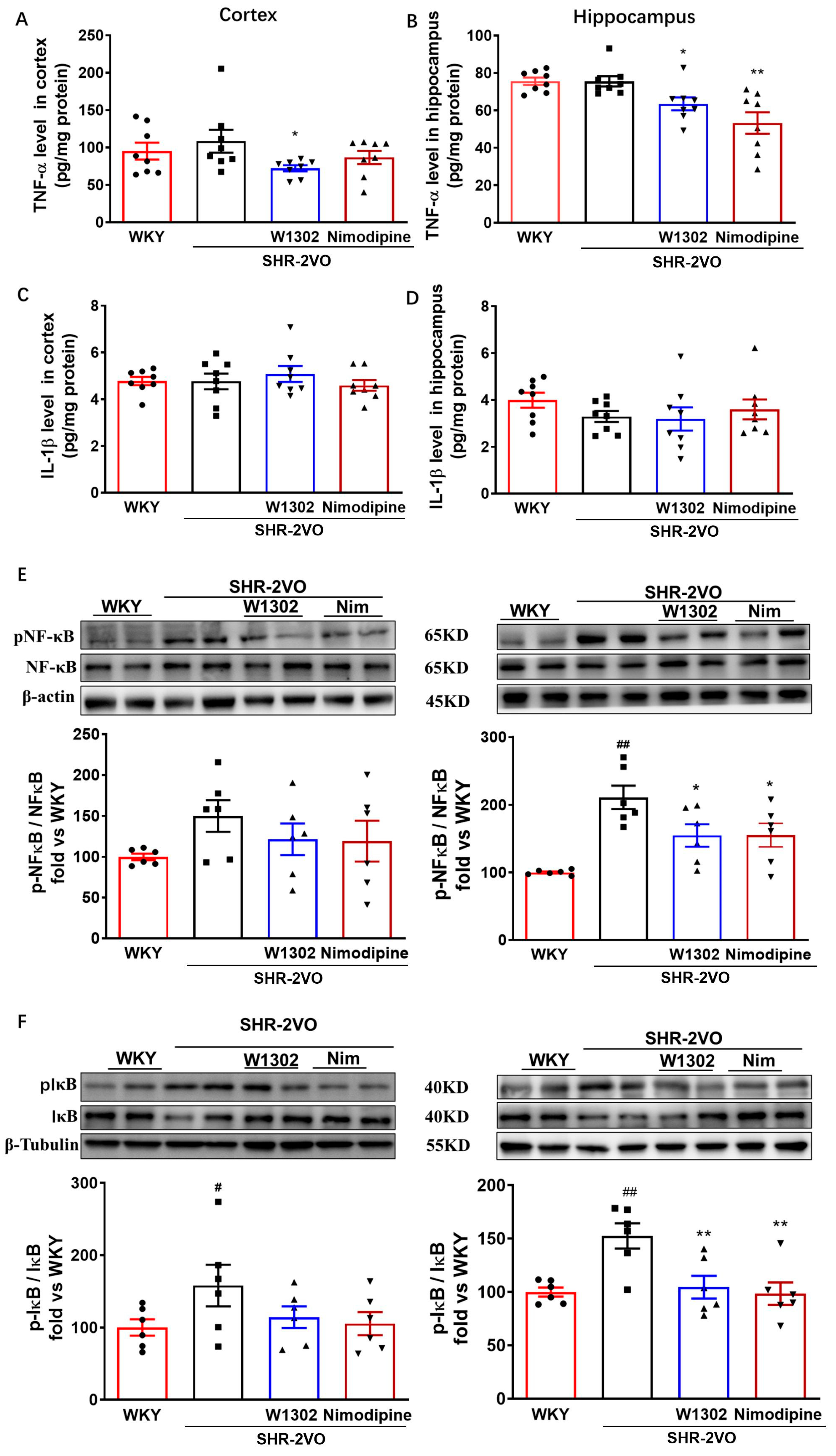 Antioxidants 13 00585 g004
